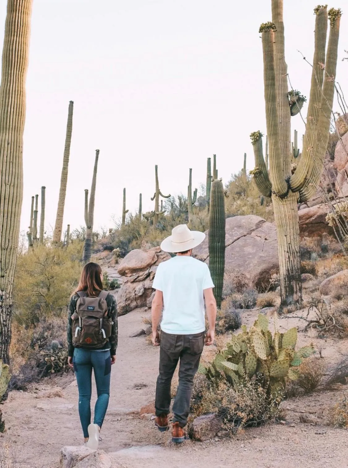 Activities in The JTH Tucson