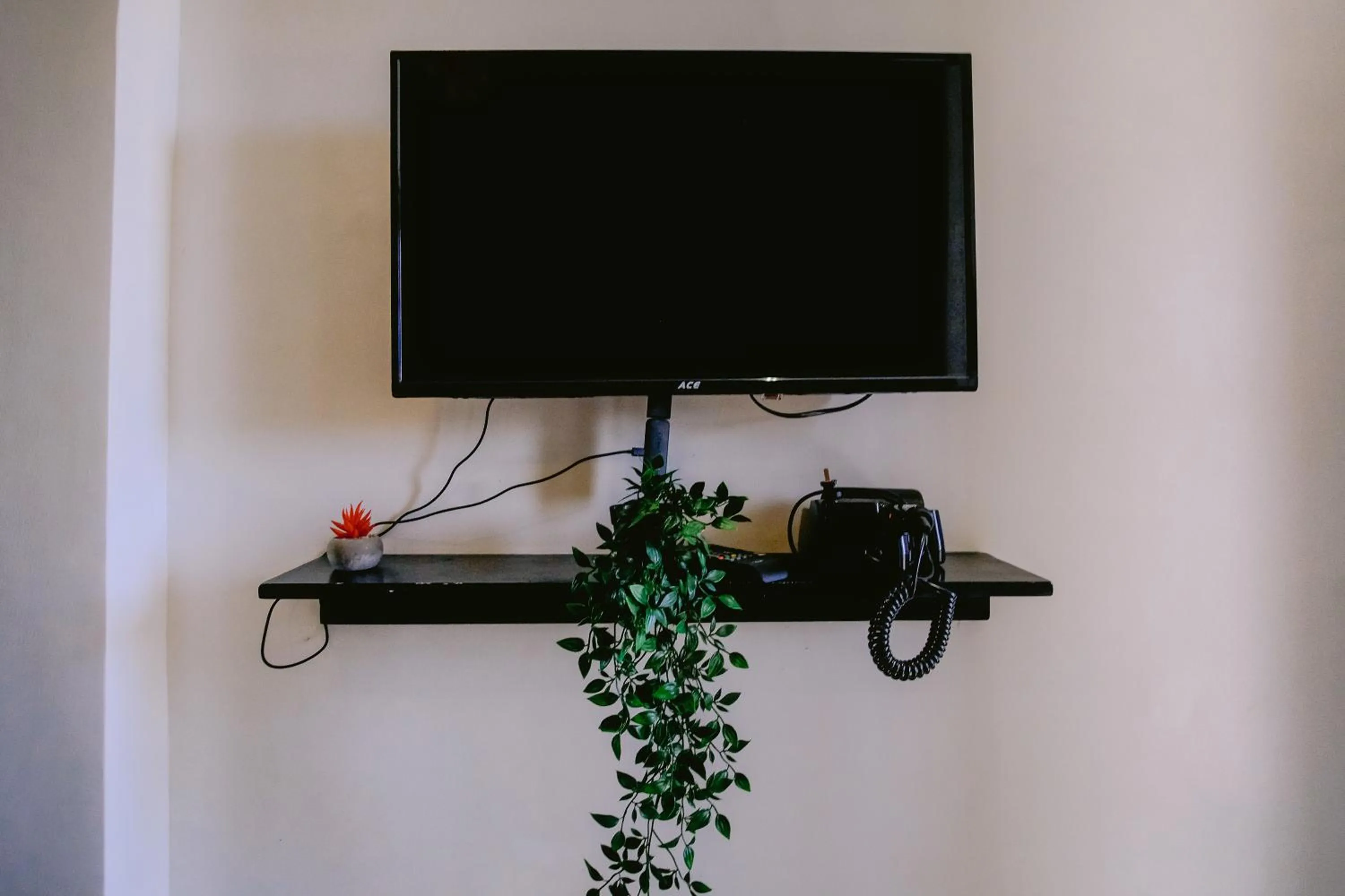 TV and multimedia in The Palms Resort & Bar