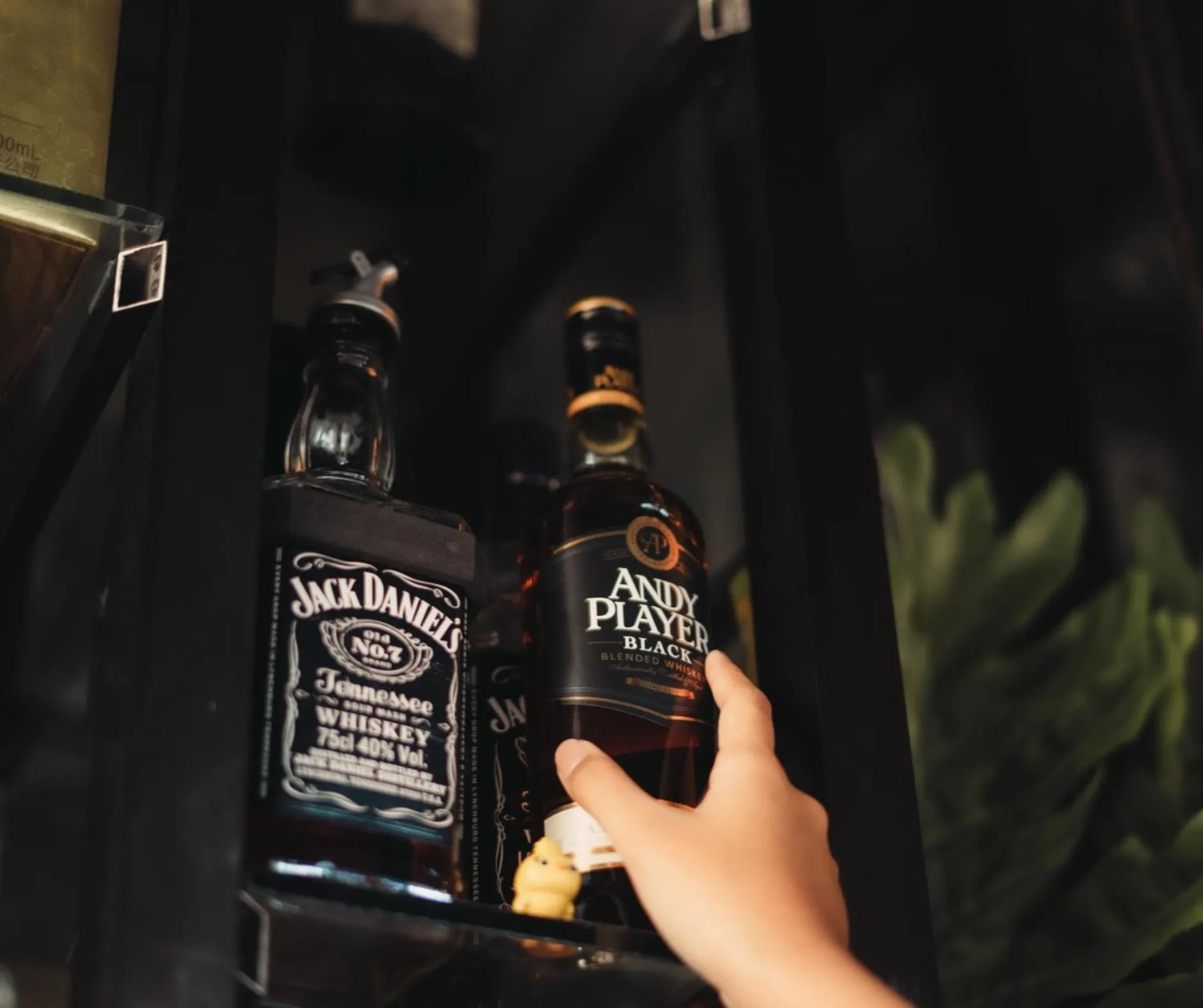 Lounge or bar in The Palms Resort & Bar