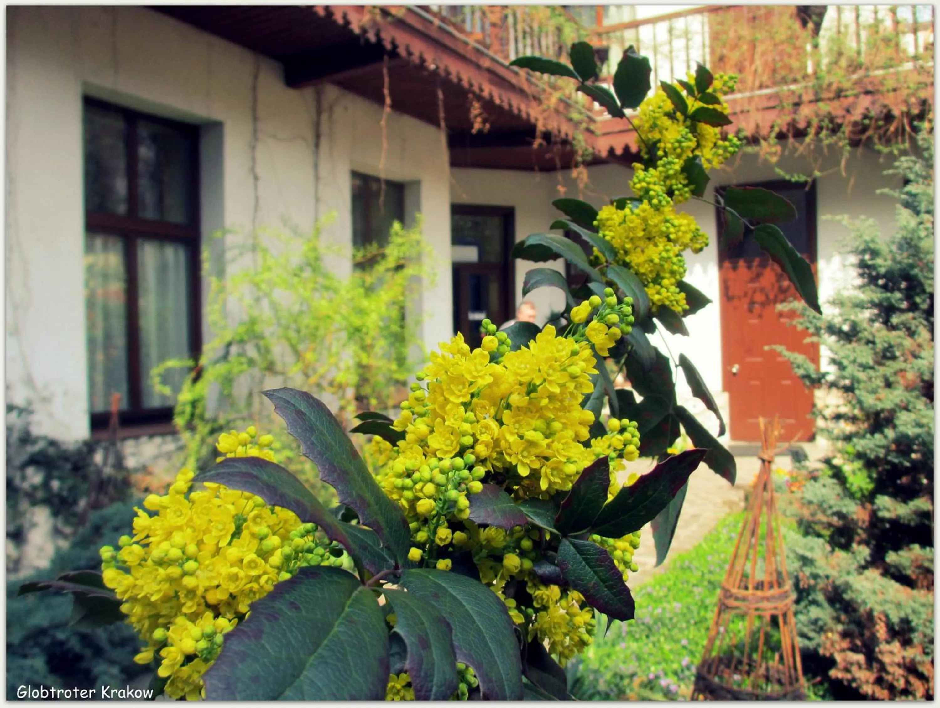 Garden in Globtroter Guest House
