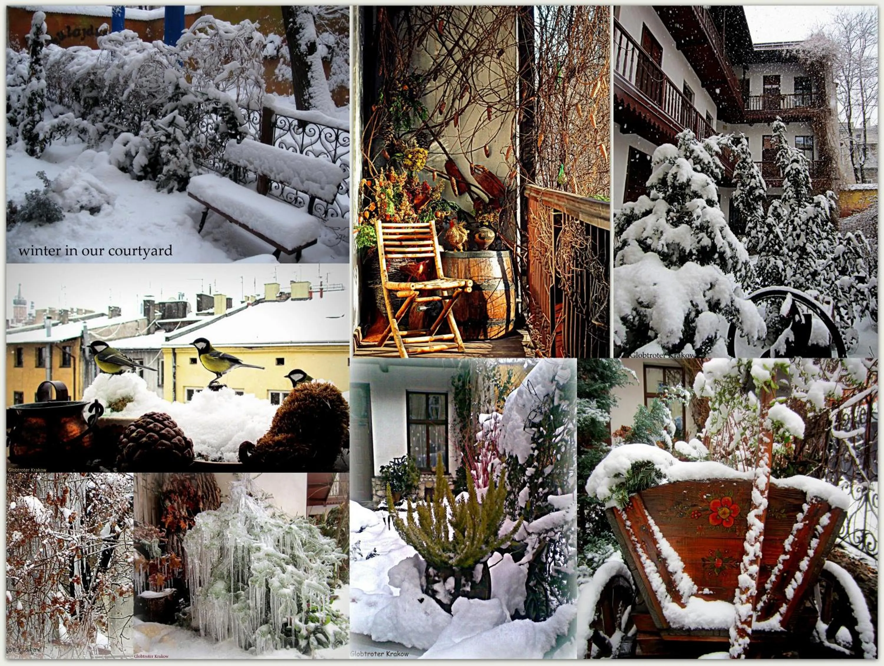 Winter in Globtroter Guest House