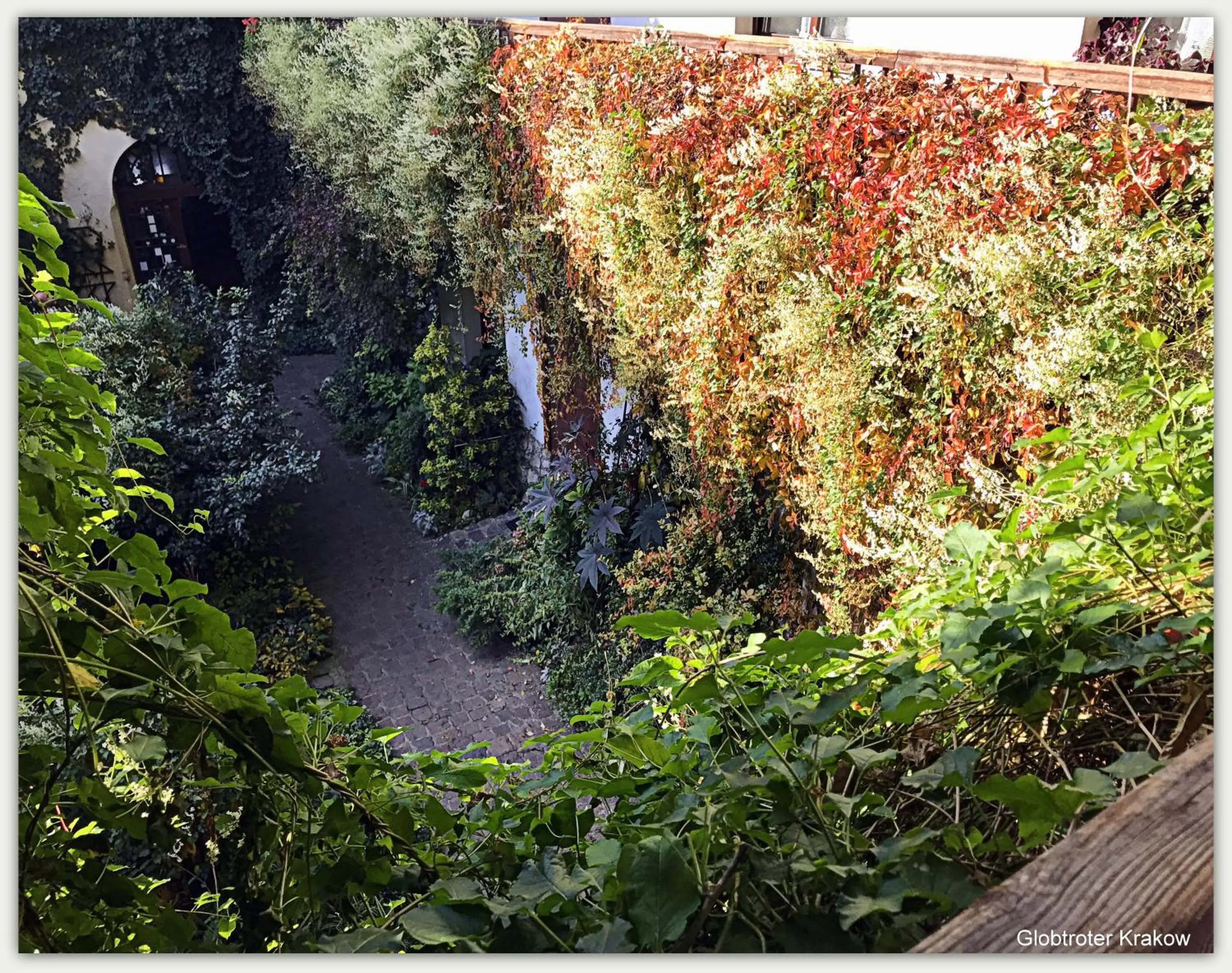 Day in Globtroter Guest House