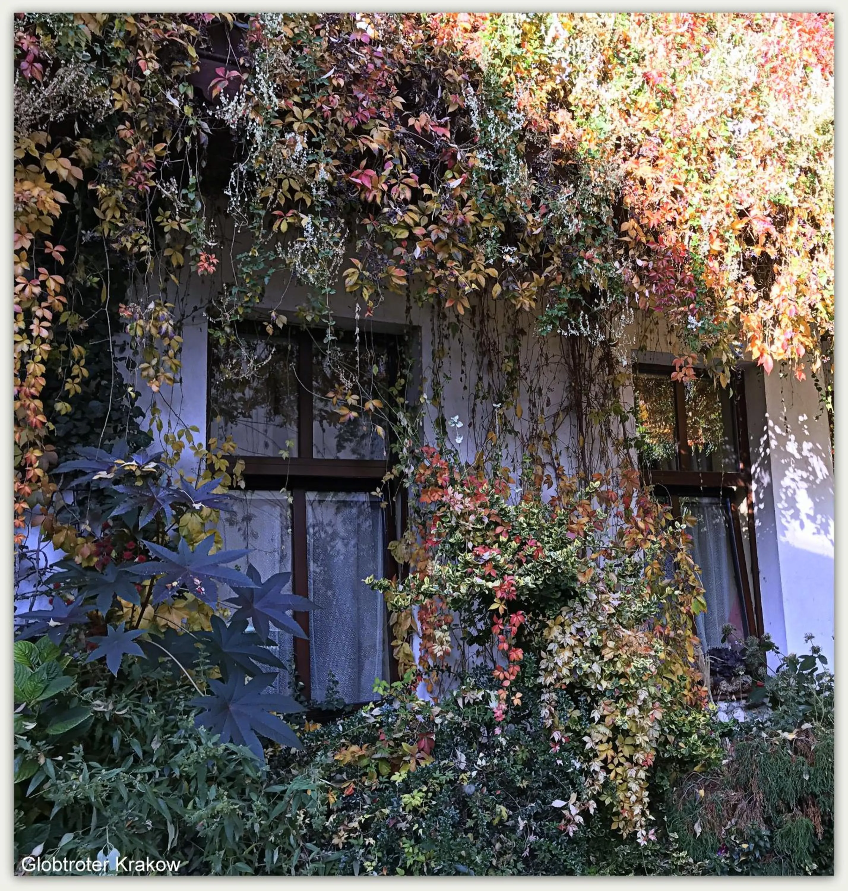 Day in Globtroter Guest House