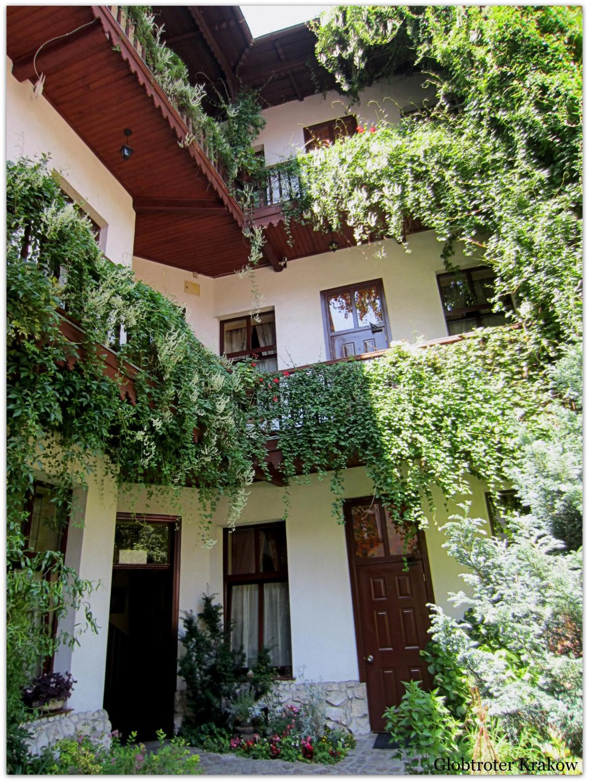 Garden in Globtroter Guest House