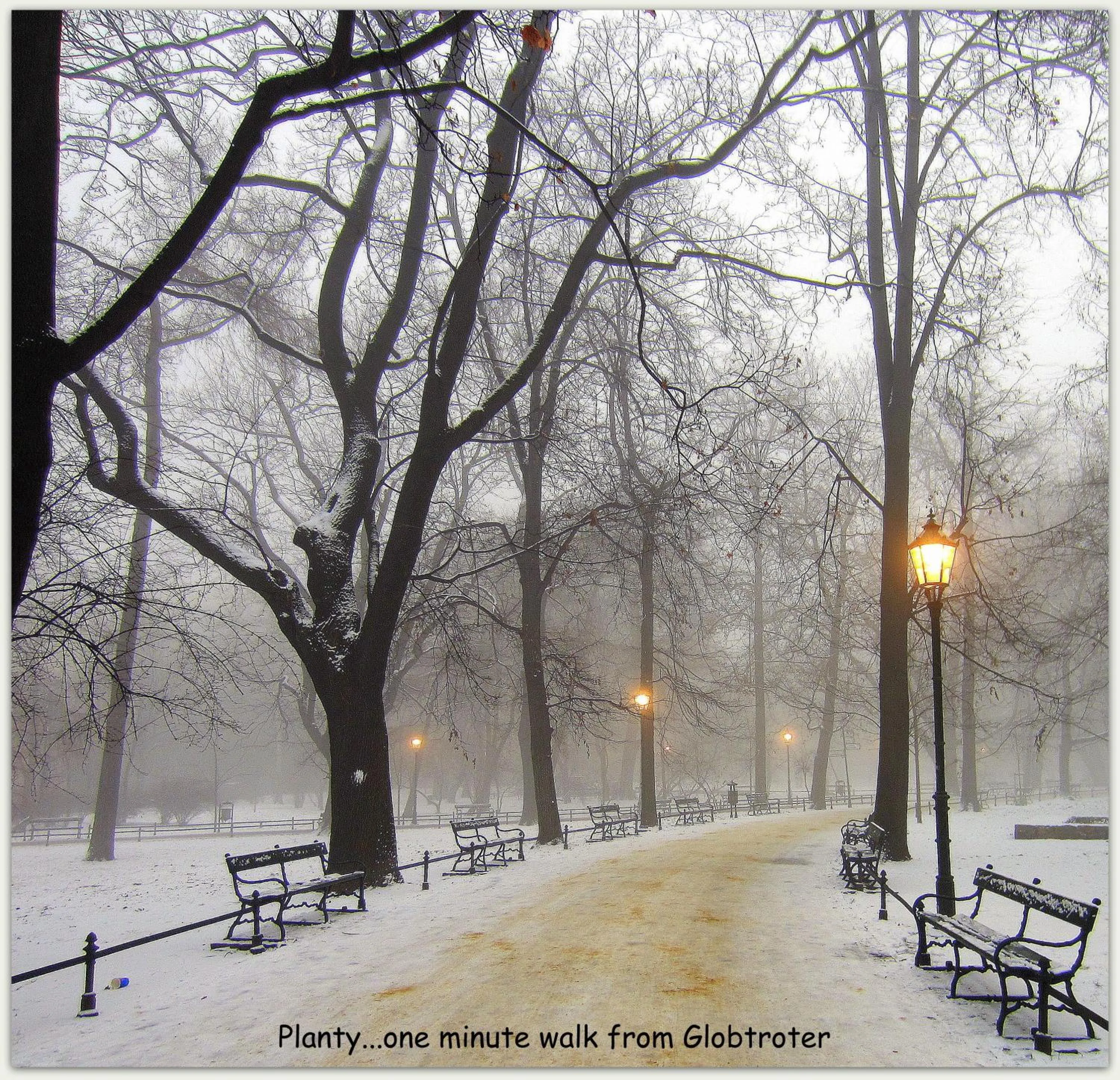 Area and facilities in Globtroter Guest House