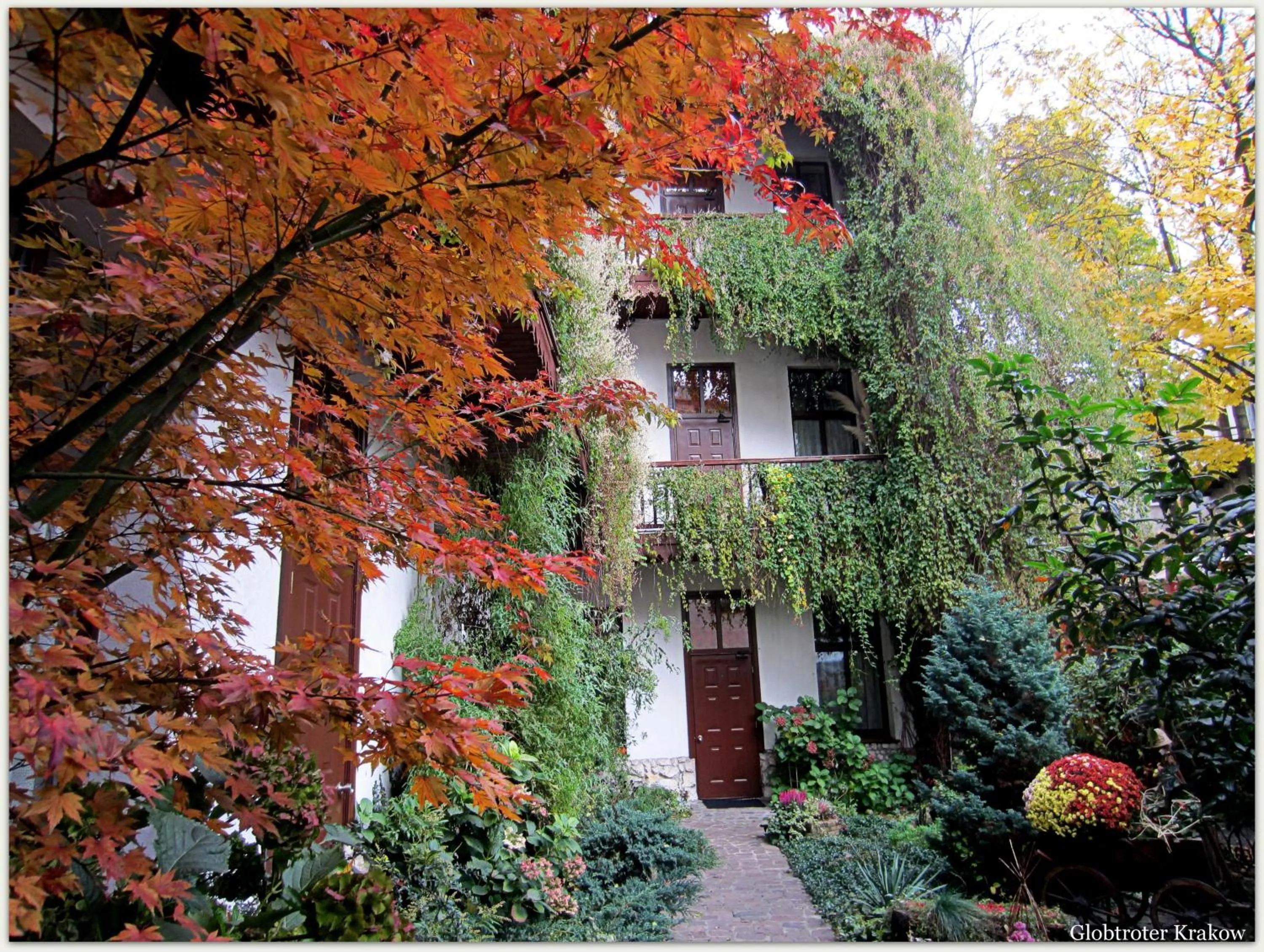 Garden in Globtroter Guest House