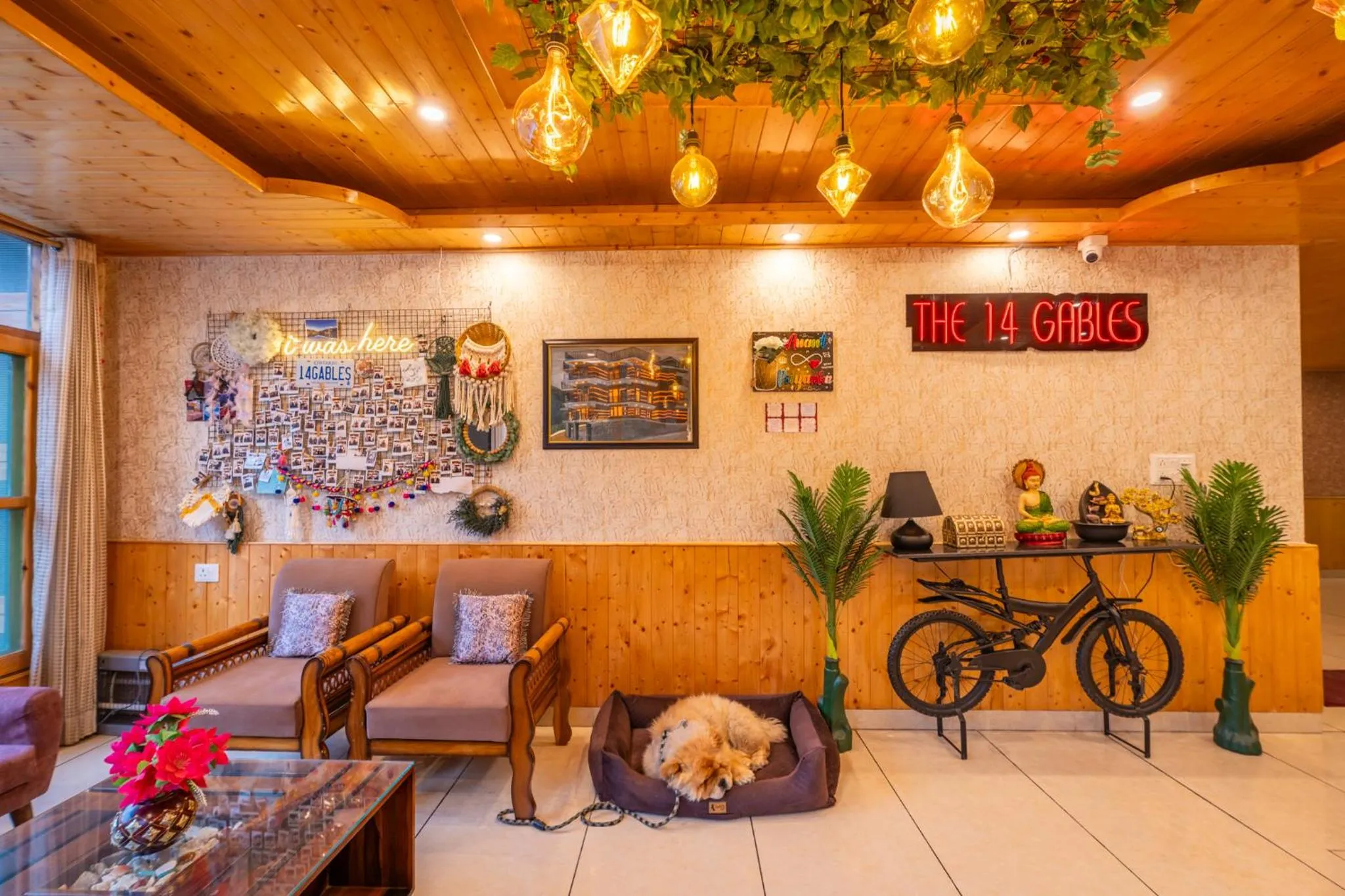 pet friendly in The 14 Gables, A Boutique Stay, Manali - Pet Friendly Hotel - Crown Palace