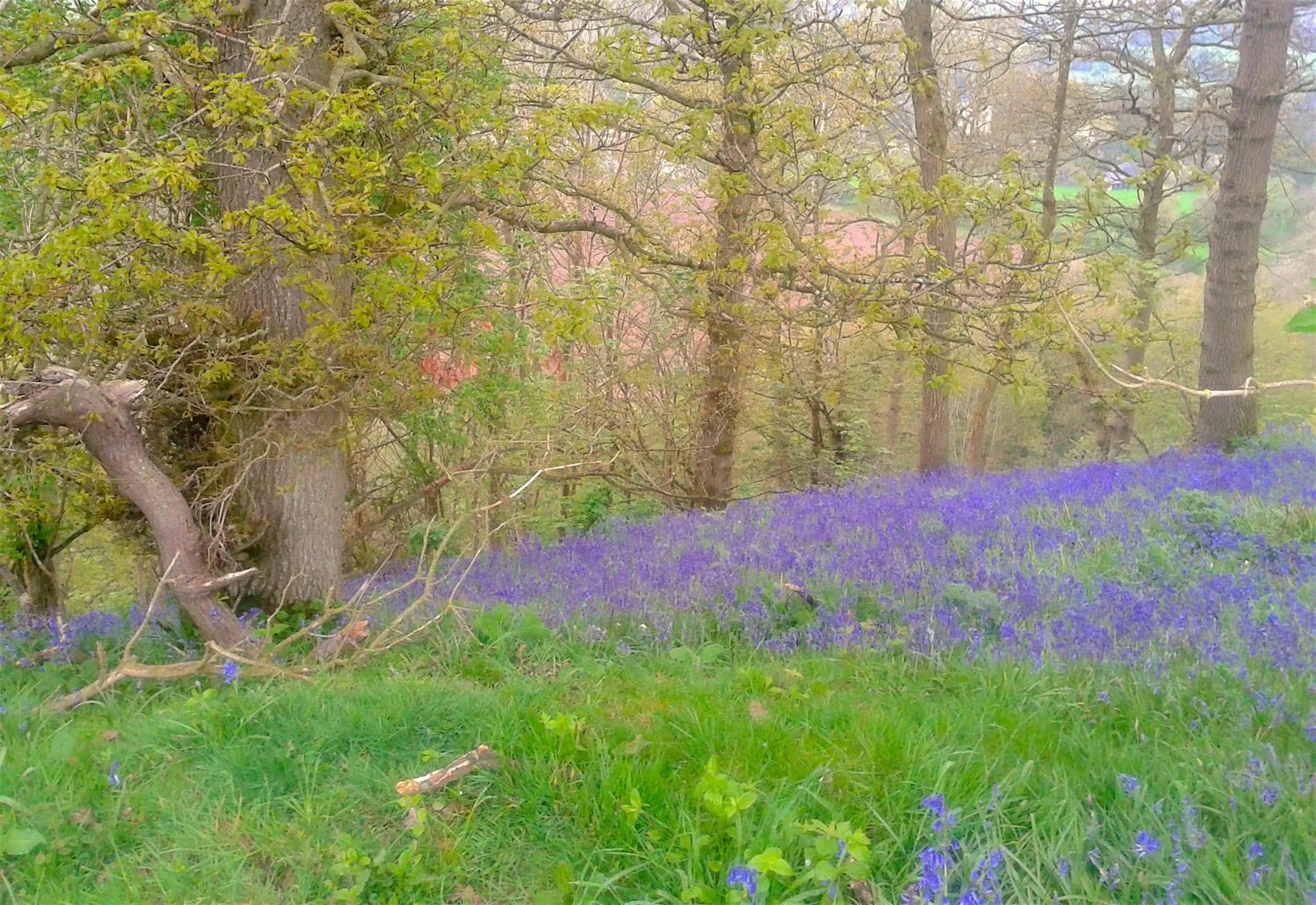 Off site in Mortimer Trail B and B