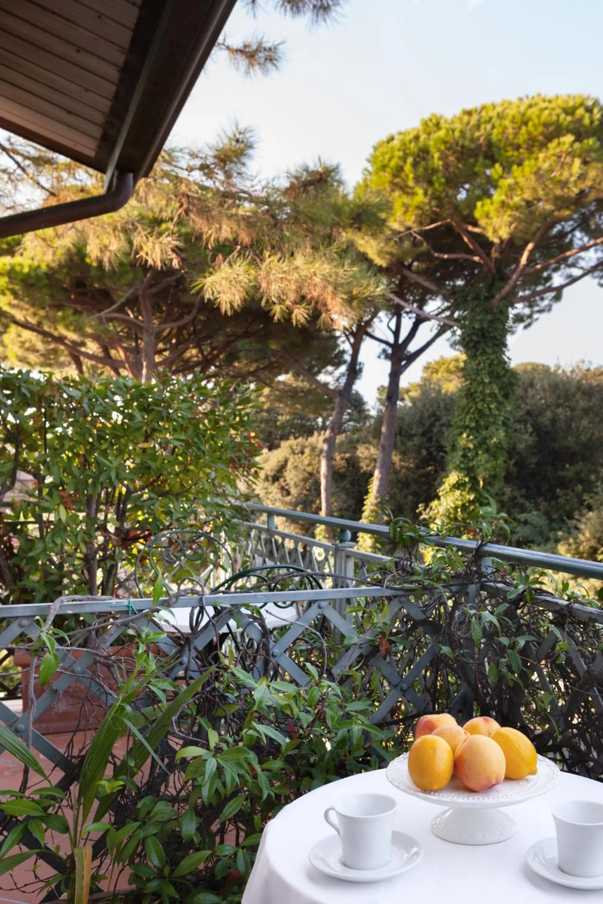 Hotel Mignon