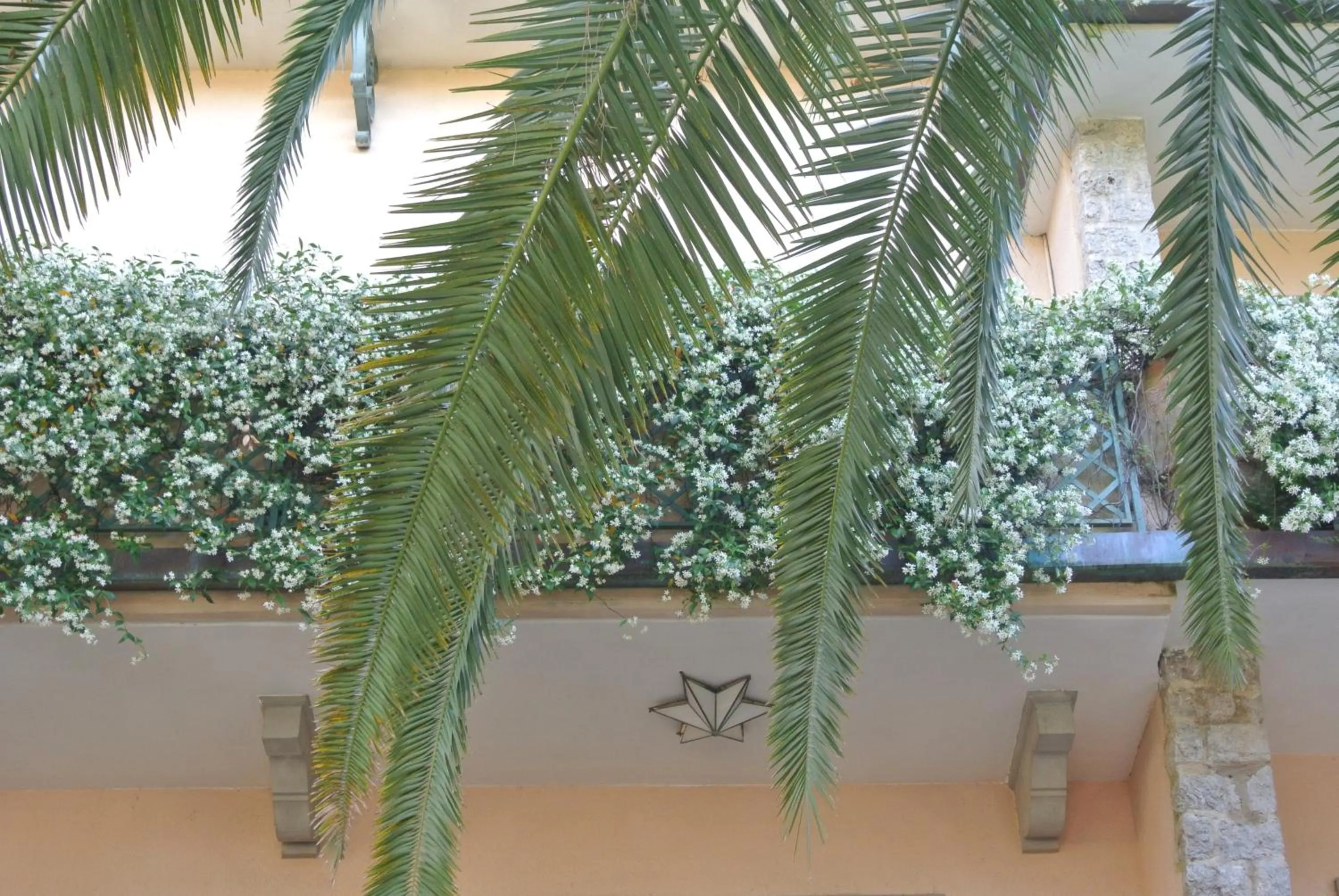 Hotel Mignon