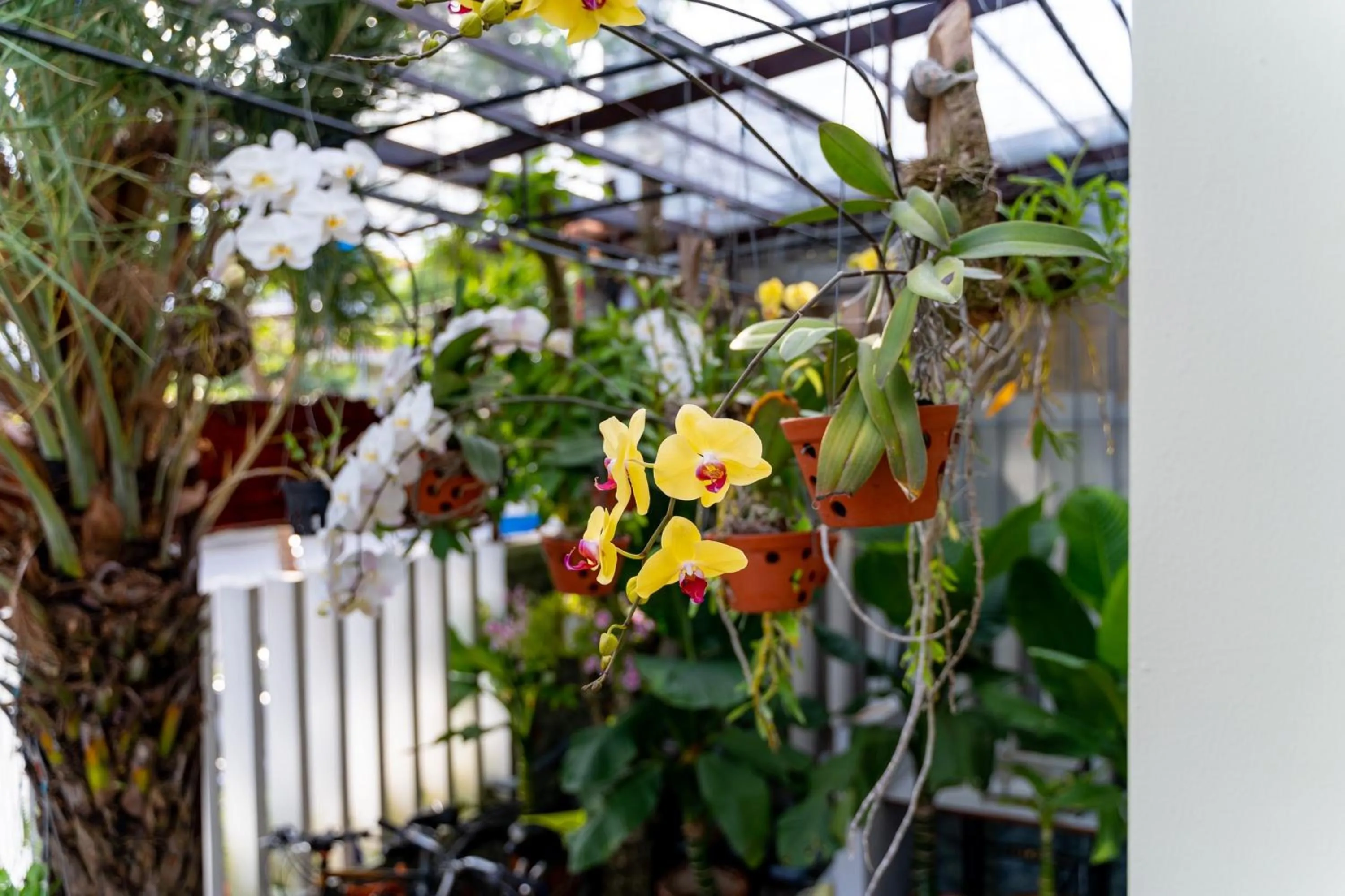 Garden view in Villa Lake Shore Hoi An
