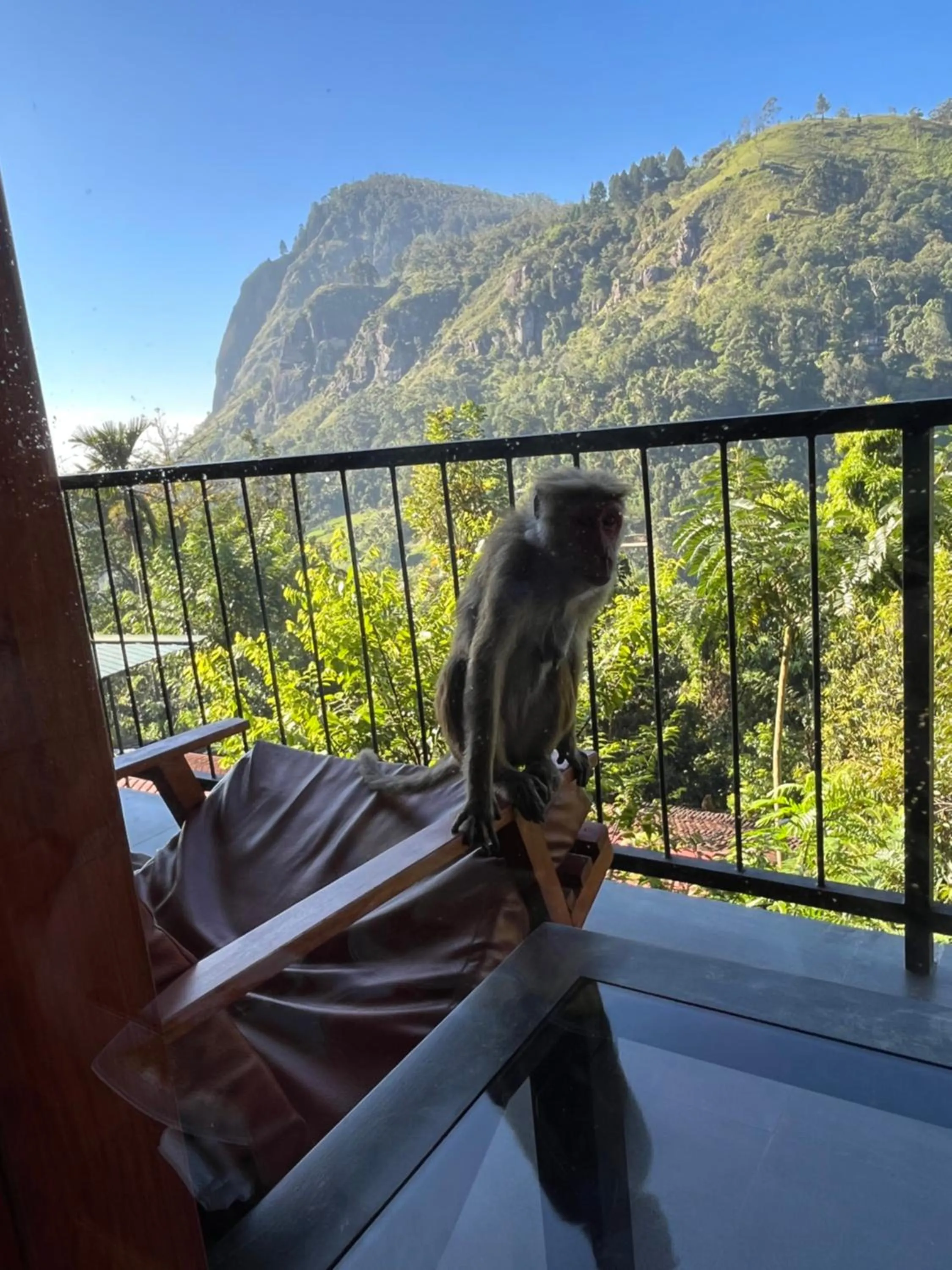 View (from property/room) in Country Homes