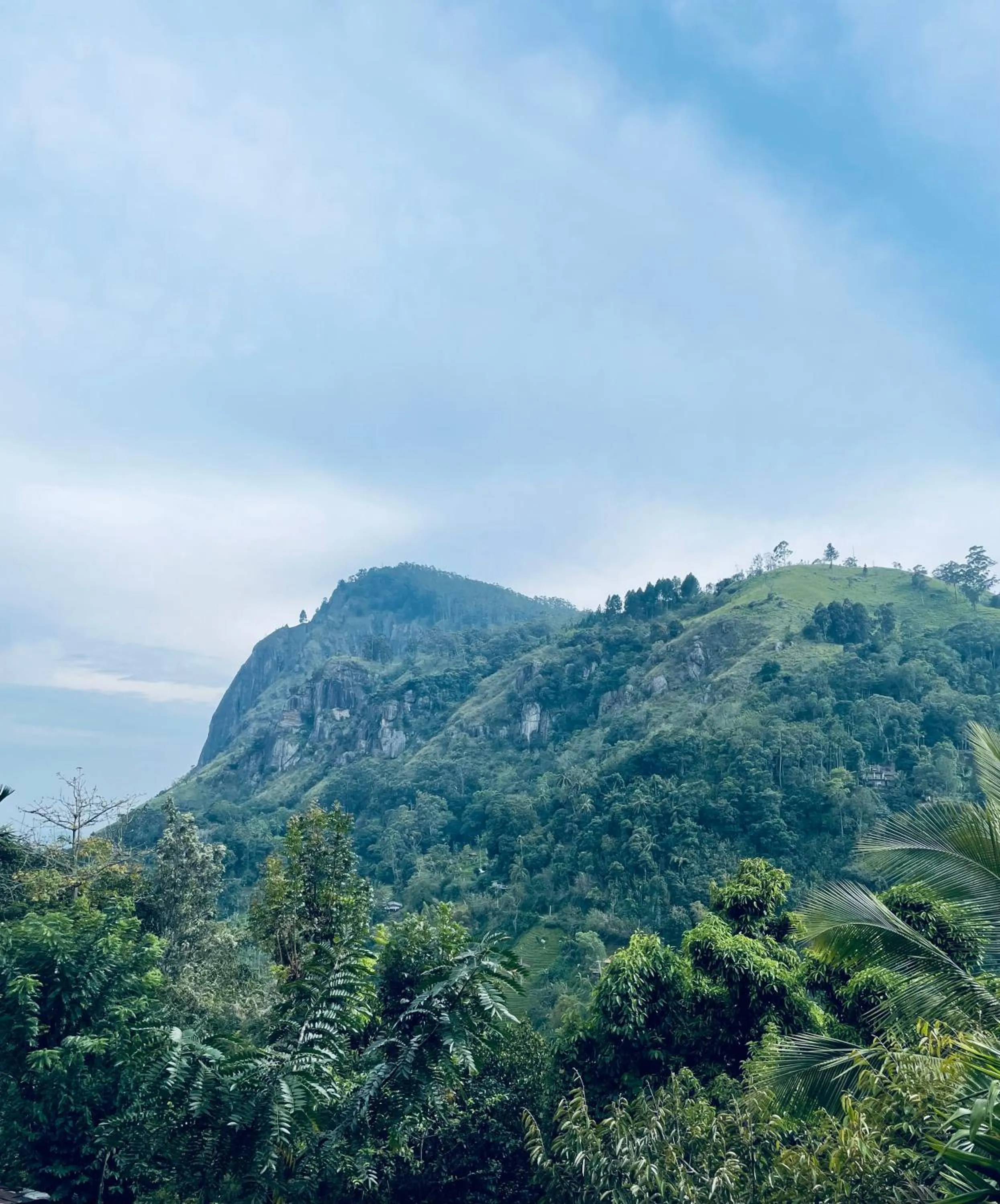 Mountain view in Country Homes