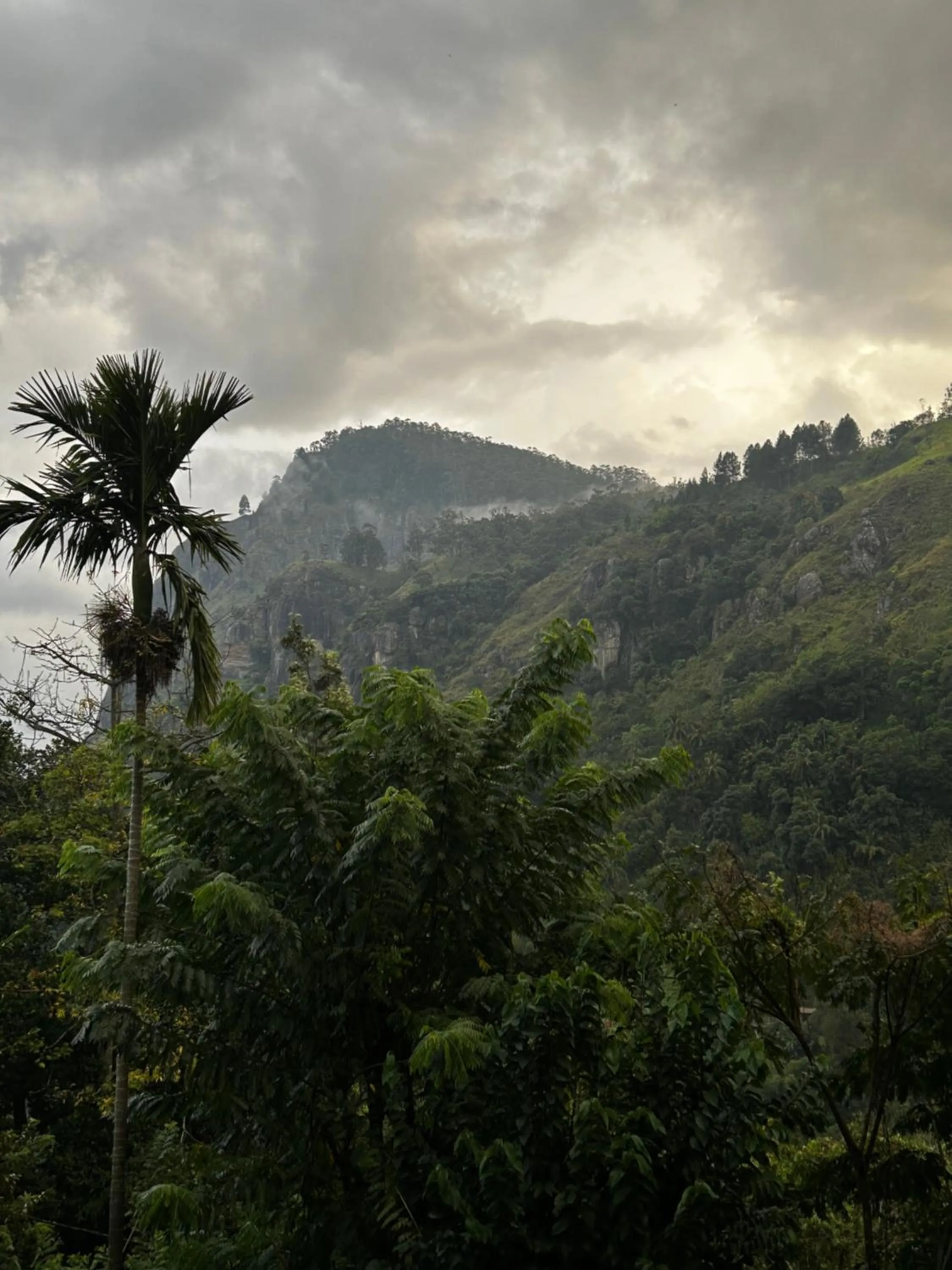 View (from property/room) in Country Homes