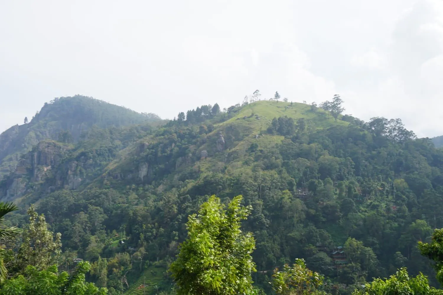 Mountain view in Country Homes