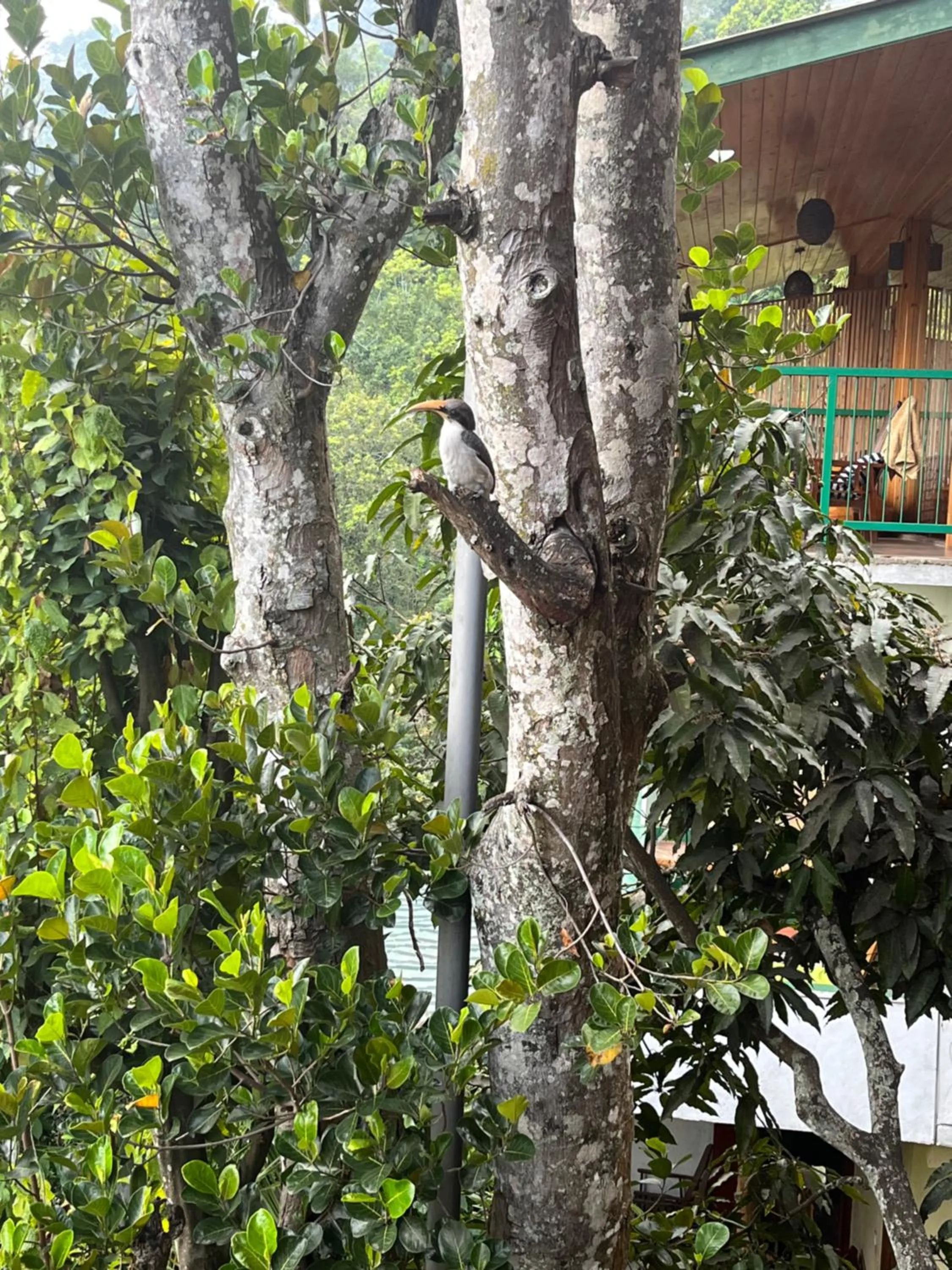 Natural landscape in Country Homes