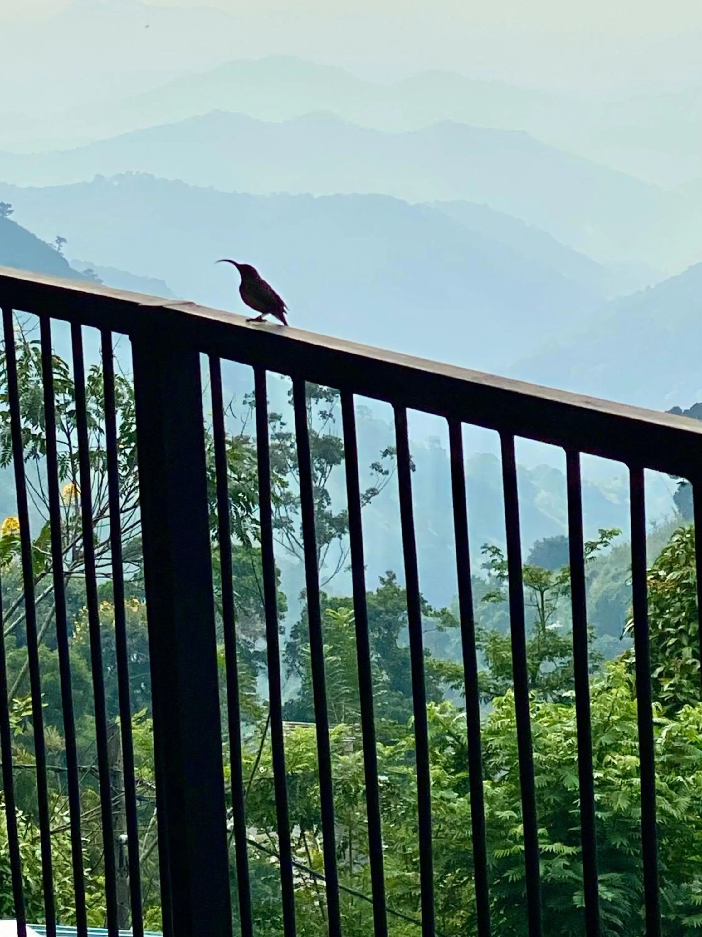 Natural landscape in Country Homes