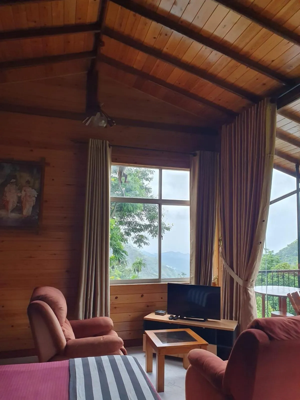 Communal lounge/ TV room in Country Homes