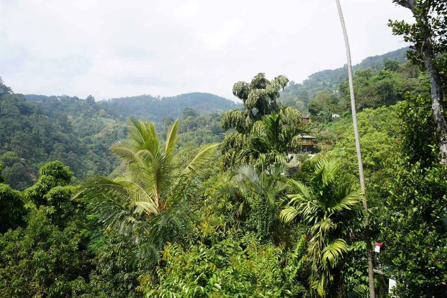 Natural landscape in Country Homes