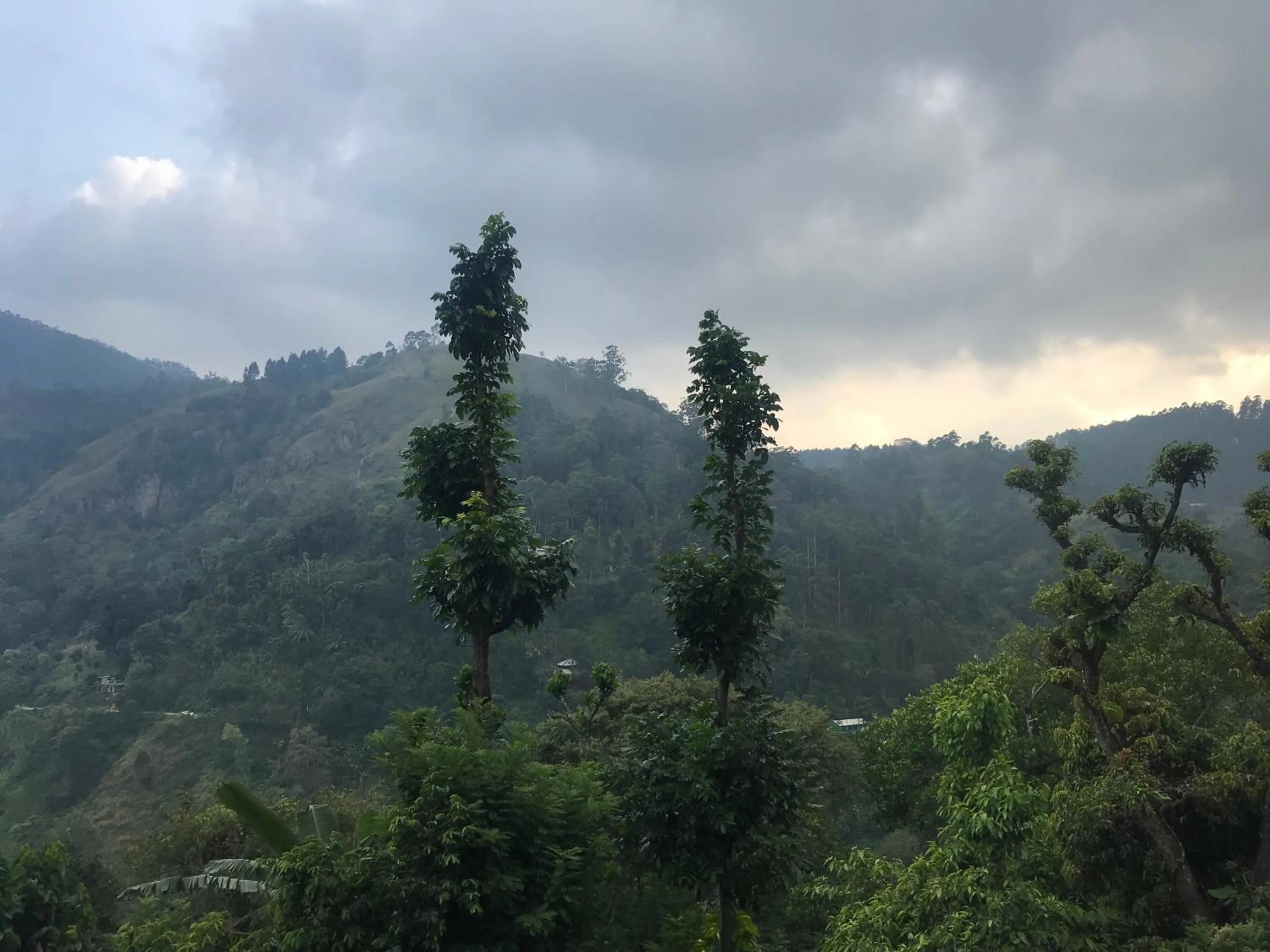 Mountain view in Country Homes