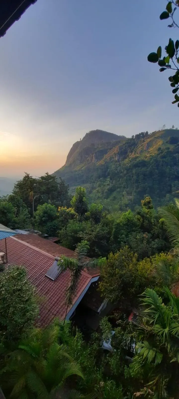 Natural landscape in Country Homes