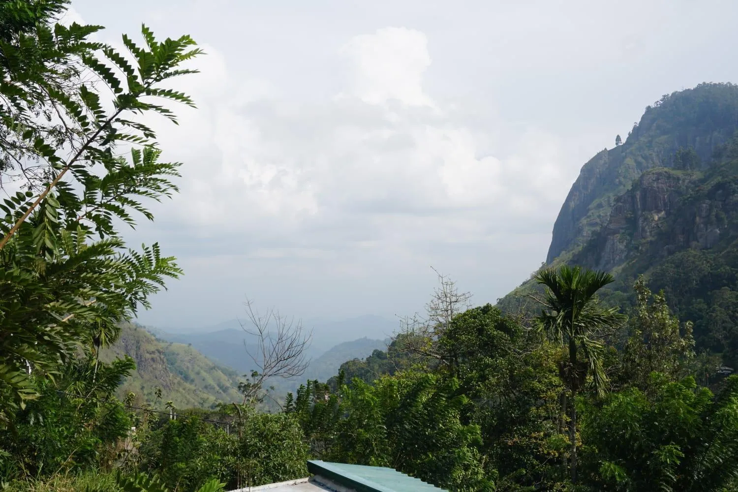 Mountain view in Country Homes