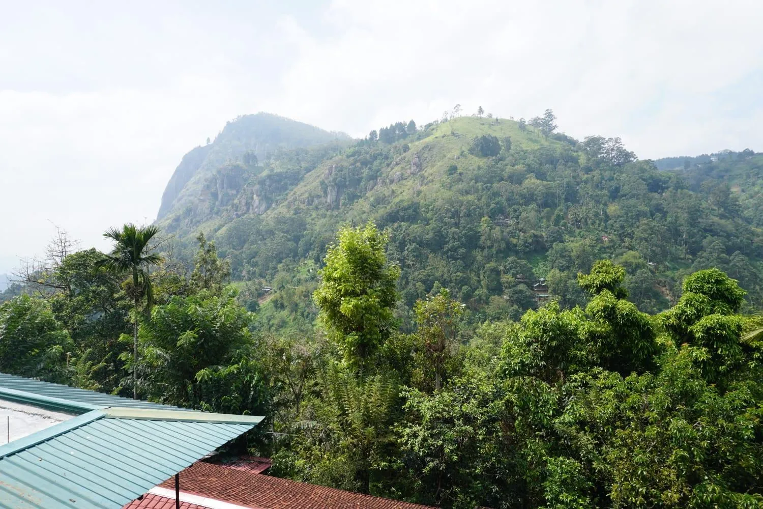 Mountain view in Country Homes