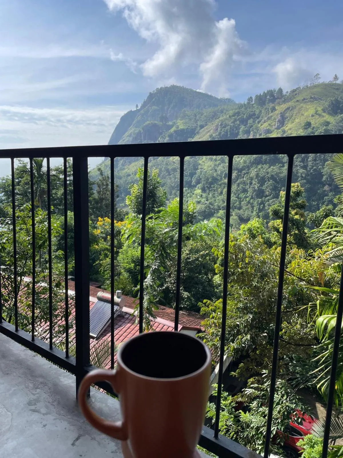 Natural landscape in Country Homes