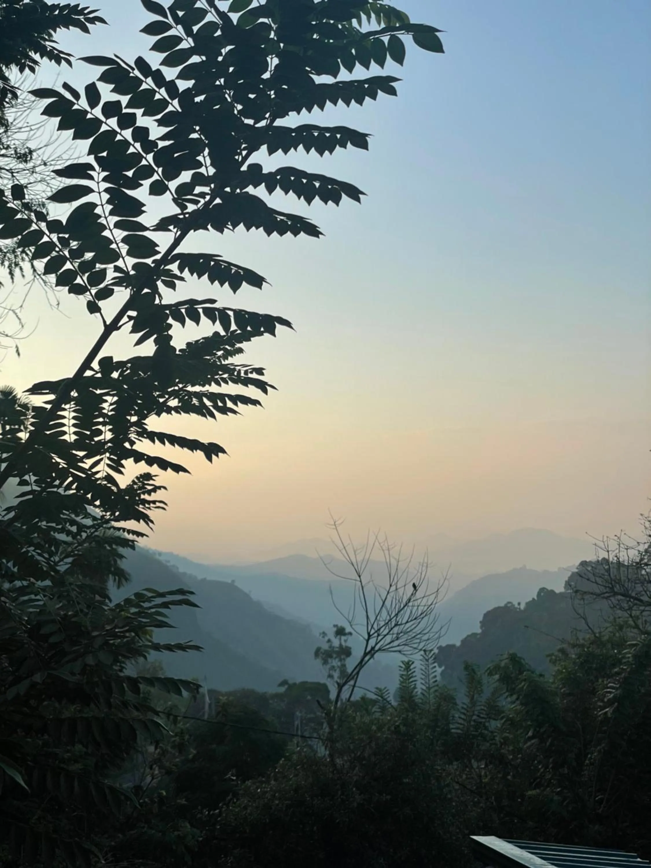 View (from property/room) in Country Homes