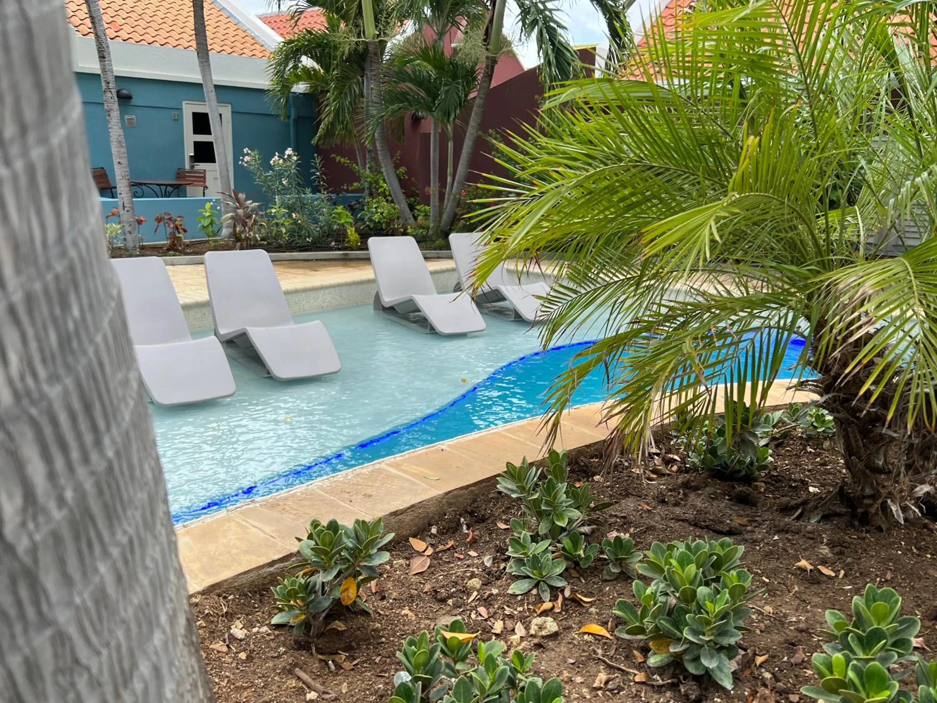 Swimming pool in Kura Botanica Hotel