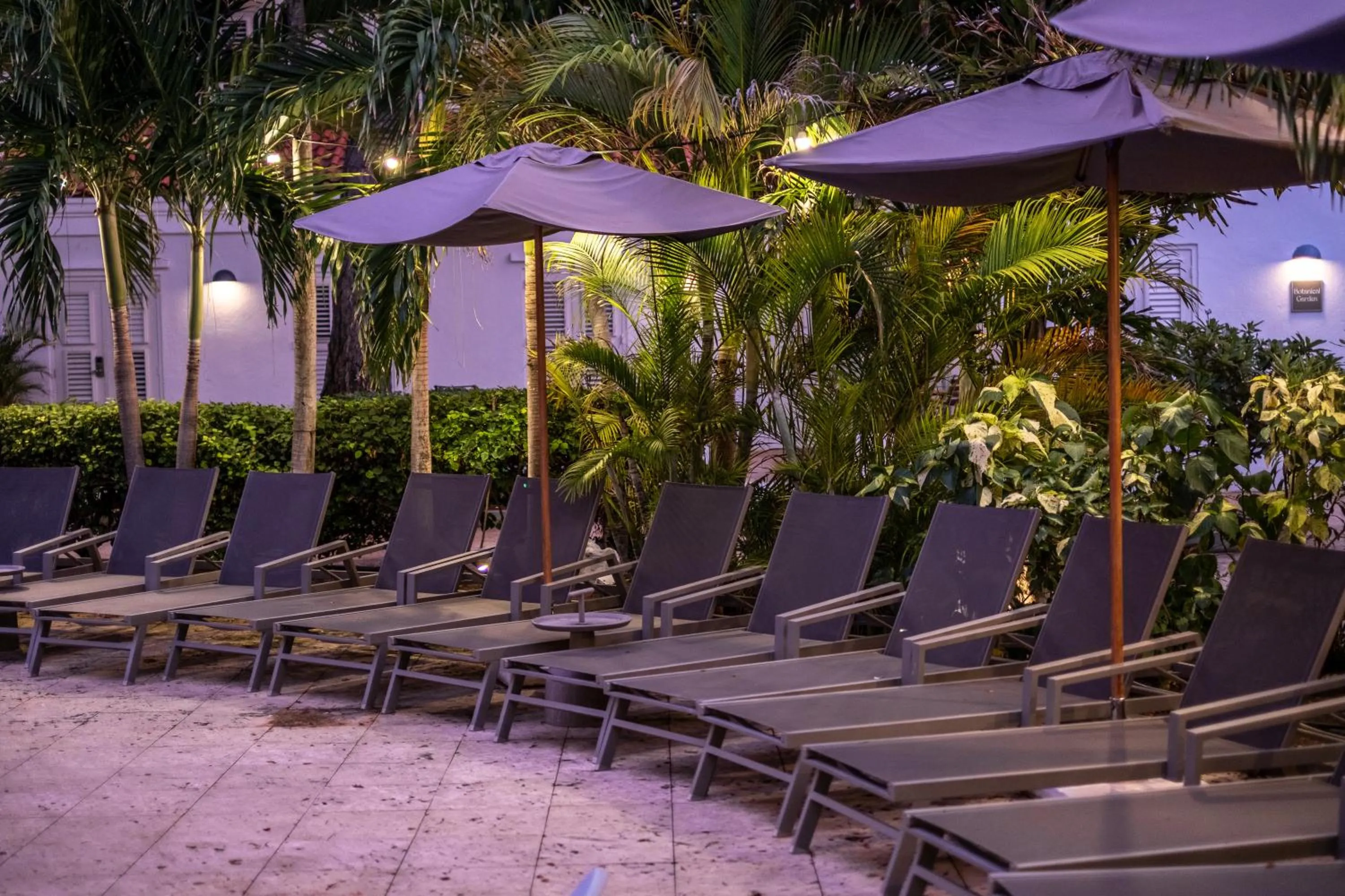 Garden in Kura Botanica Hotel