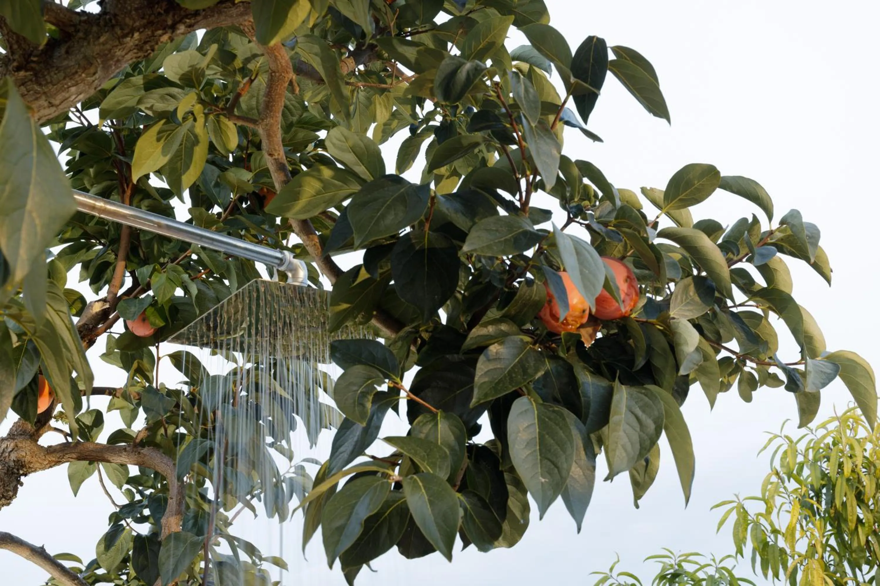 Day in Casolare Lodedo