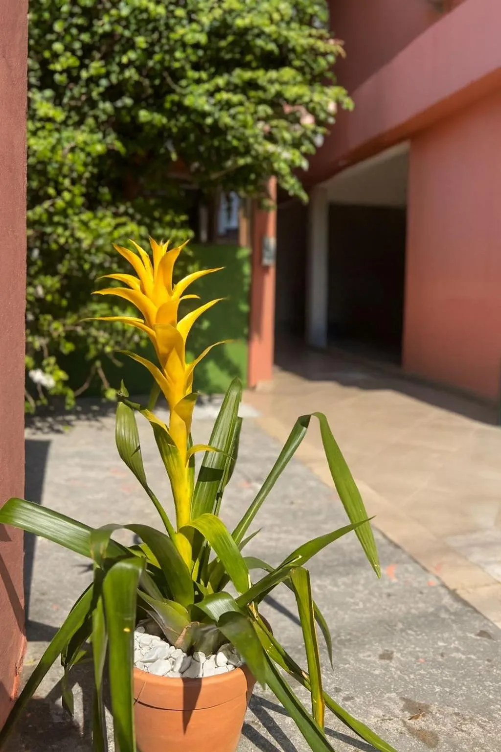 Day in Pousada Casa Rosada Ilhabela