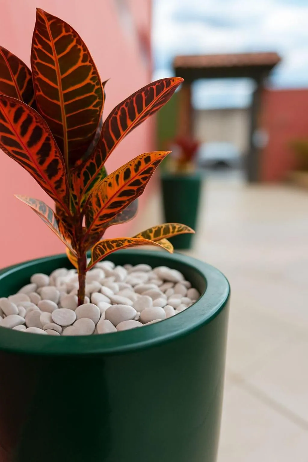 Day in Pousada Casa Rosada Ilhabela