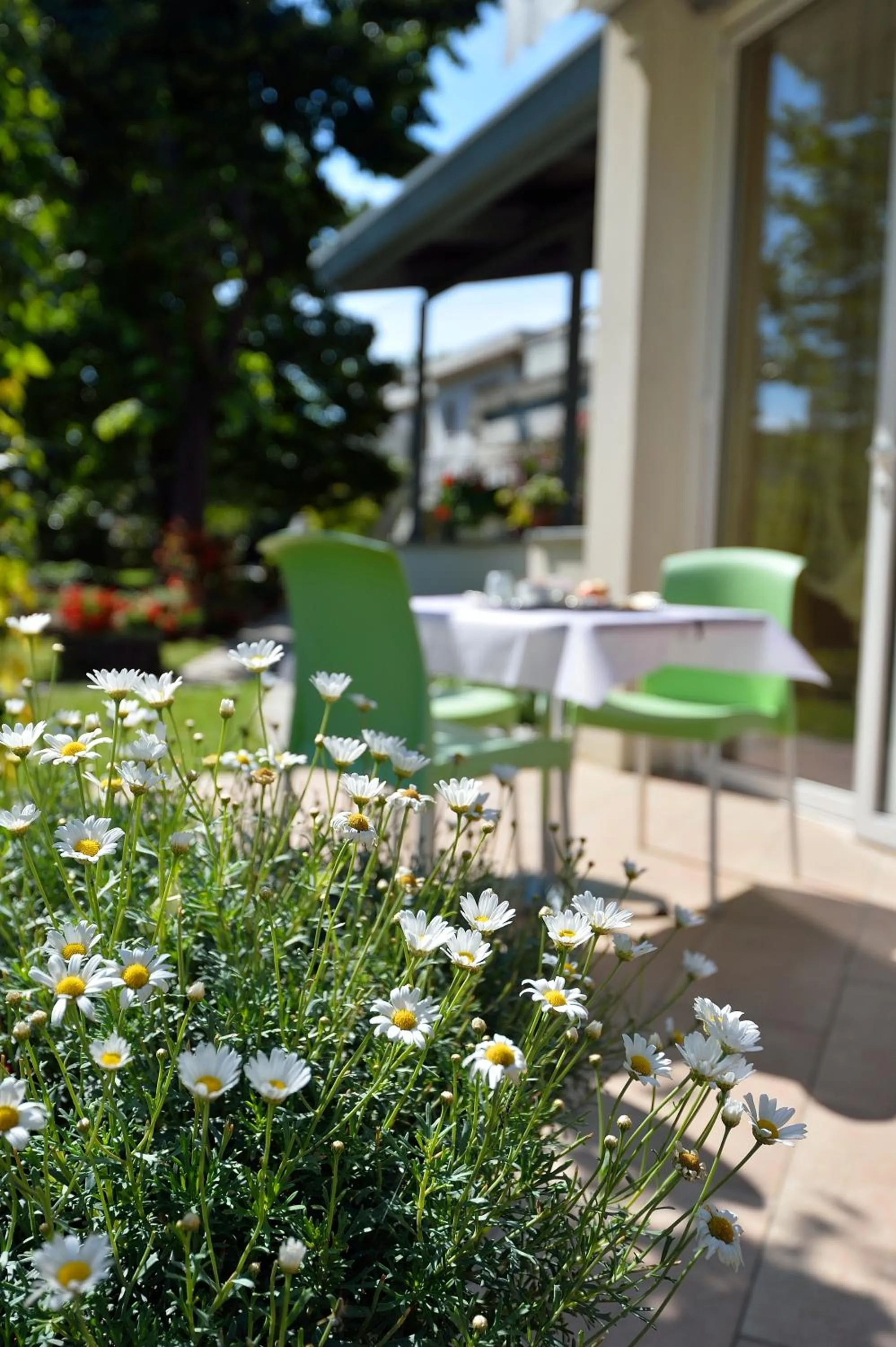 Balcony/Terrace in Hotel Italia