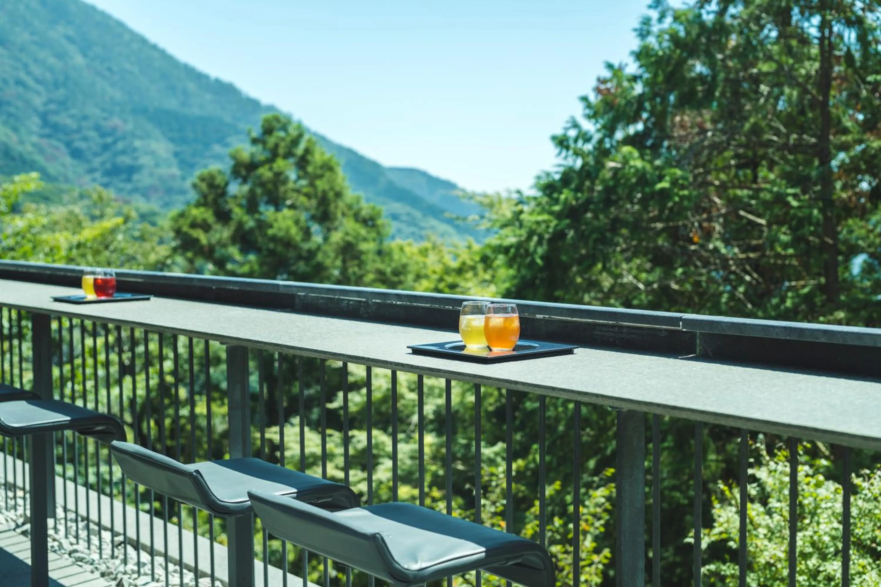 Lounge or bar in Hakone Gora KARAKU