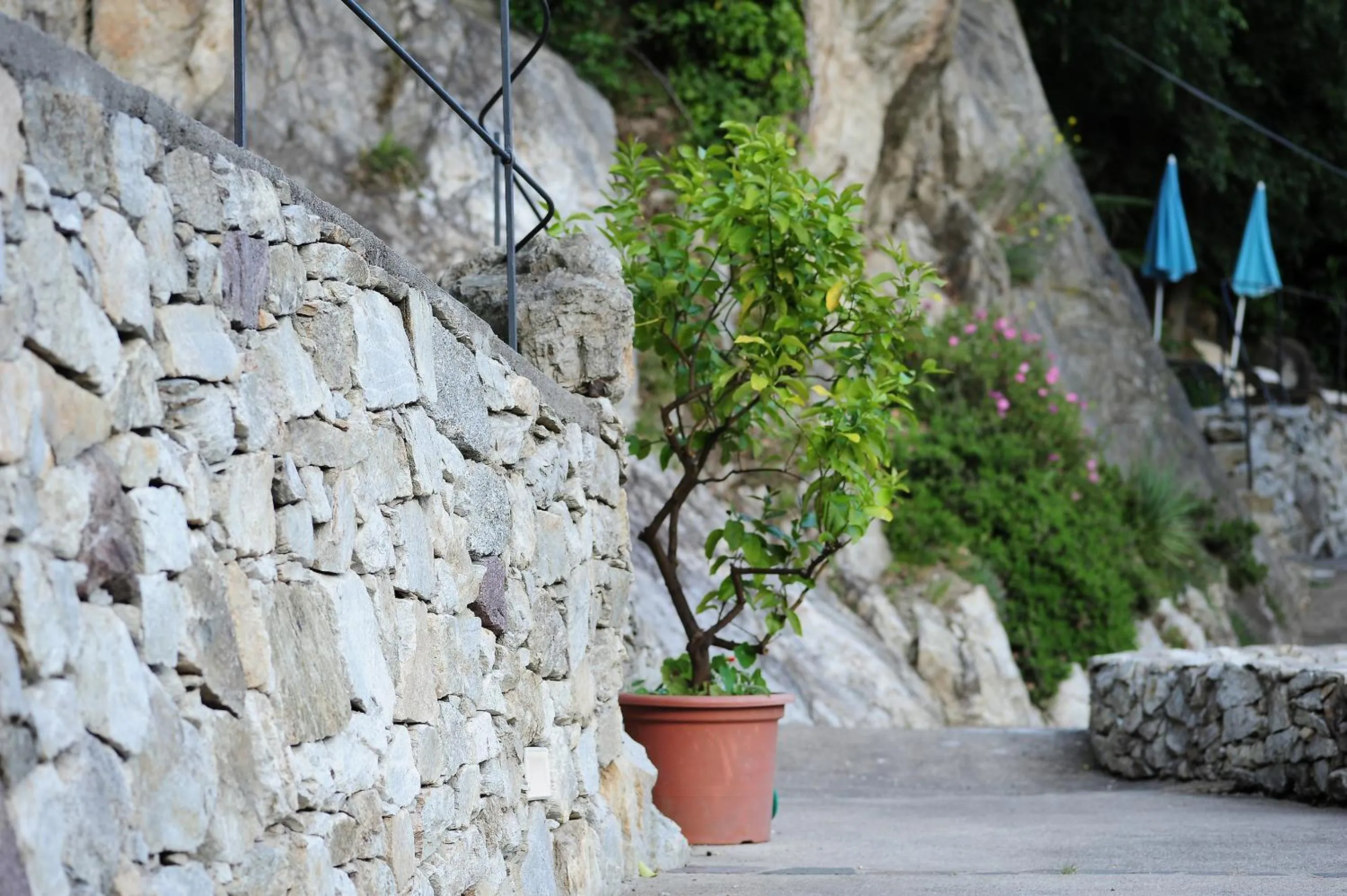 Garden in Villa Sasso