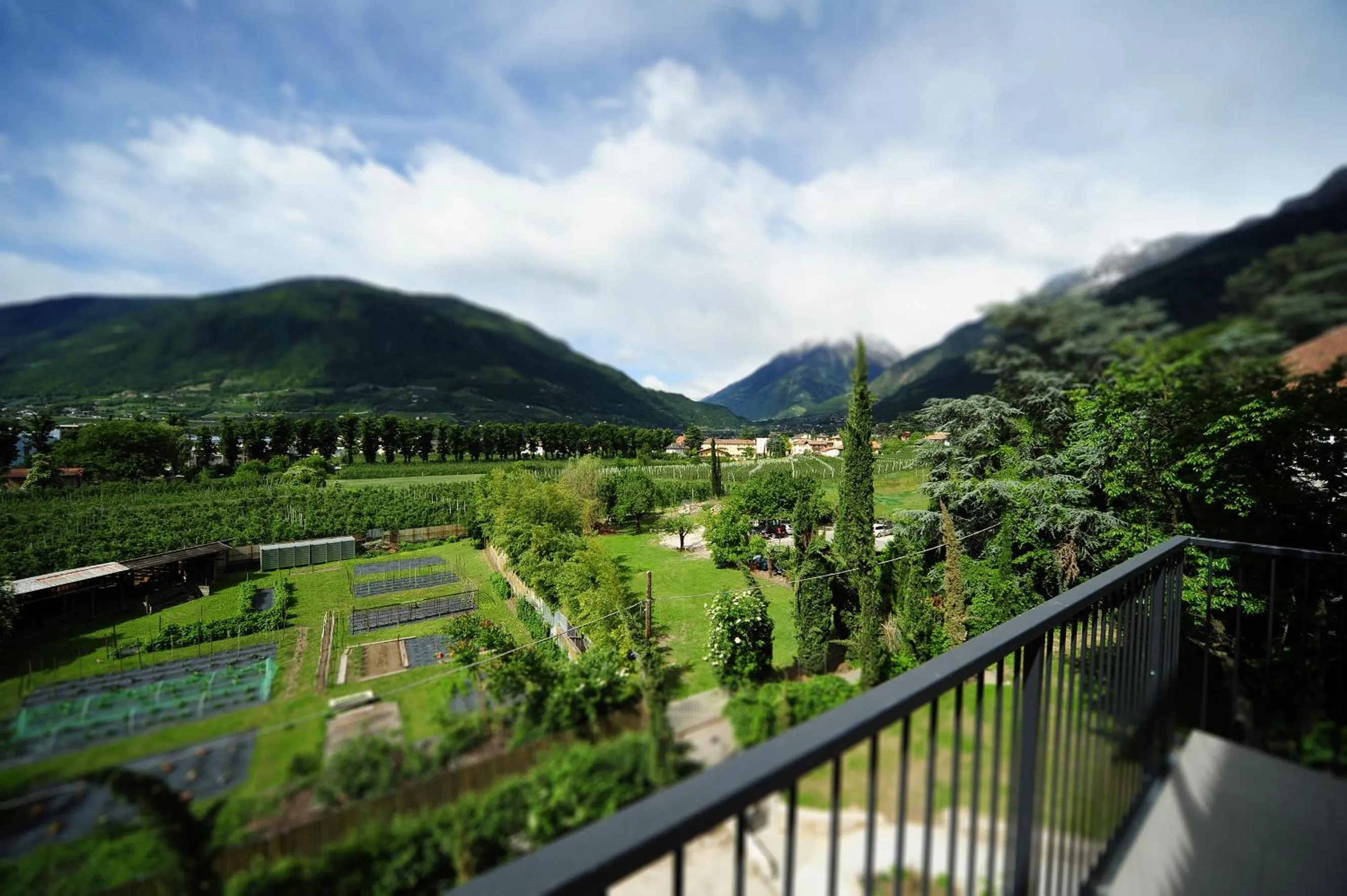 Balcony/Terrace in Villa Sasso