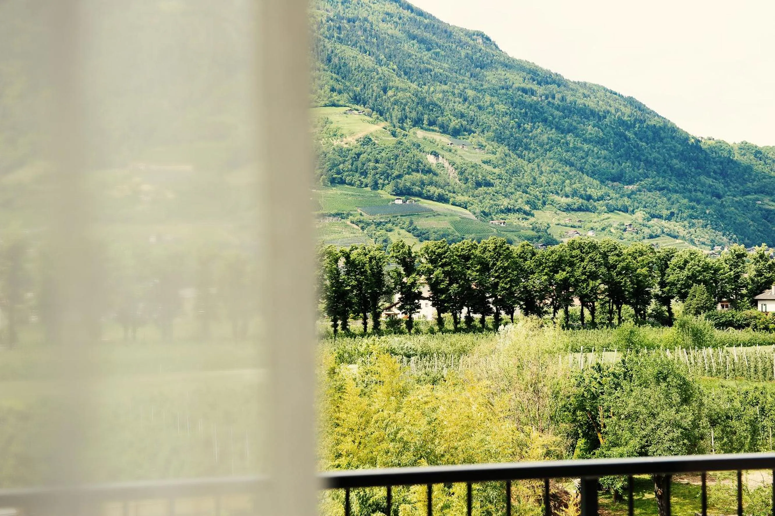 View (from property/room) in Villa Sasso