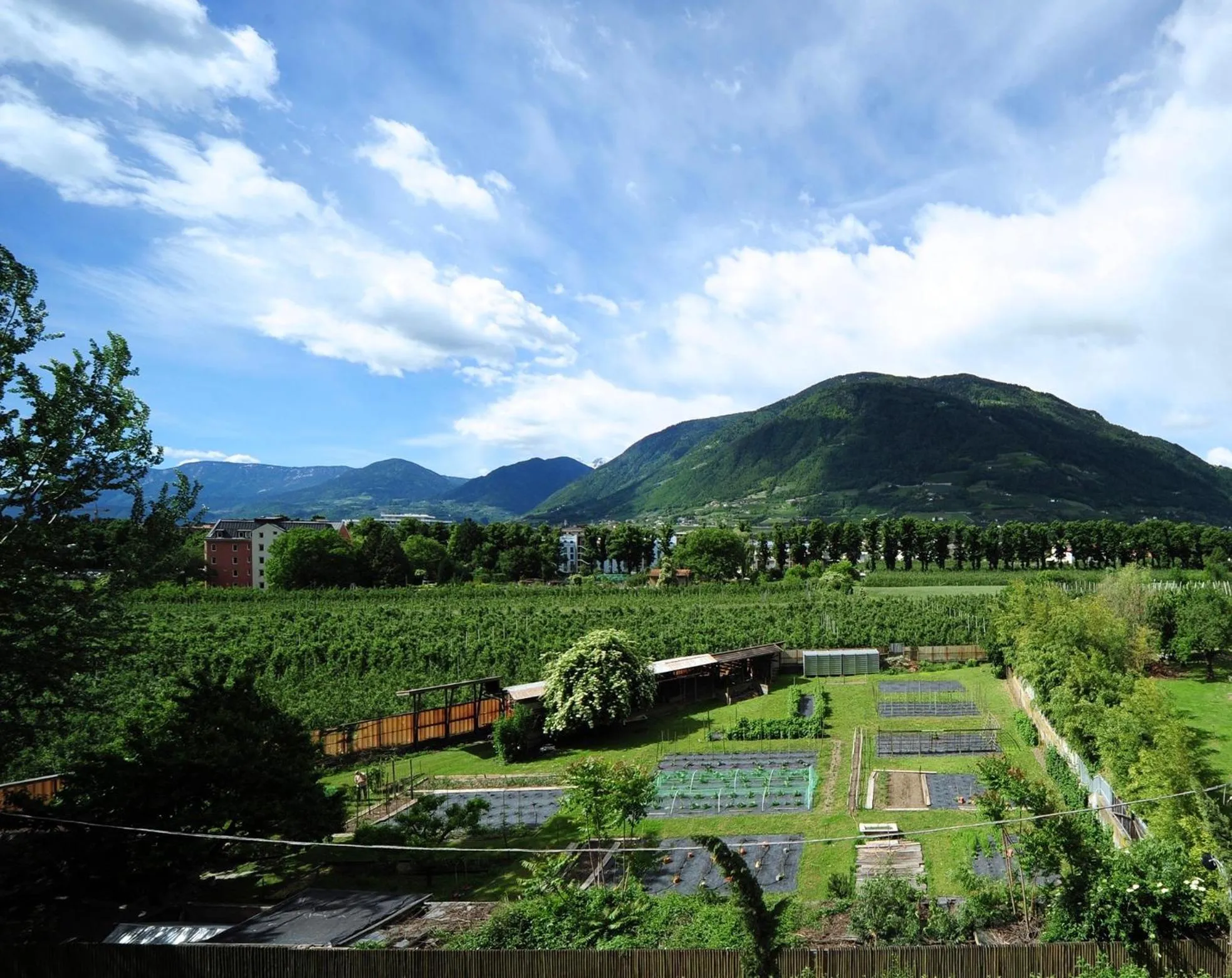 Mountain view in Villa Sasso