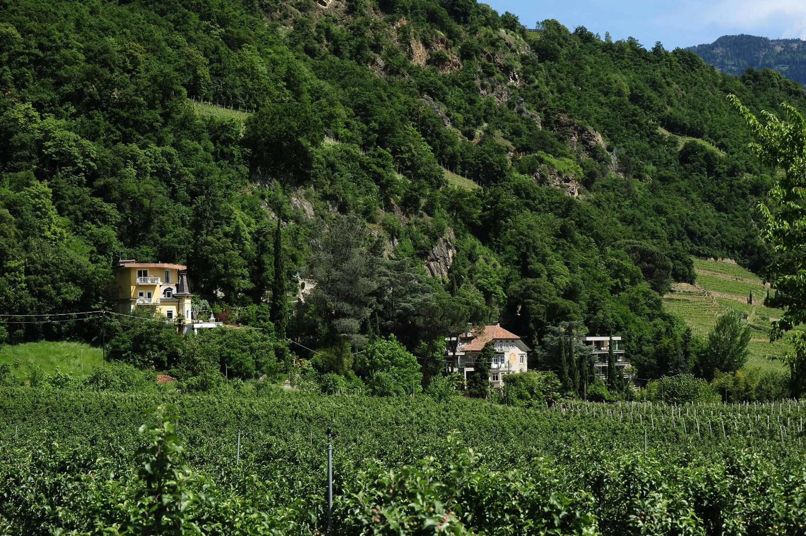 Bird's eye view in Villa Sasso