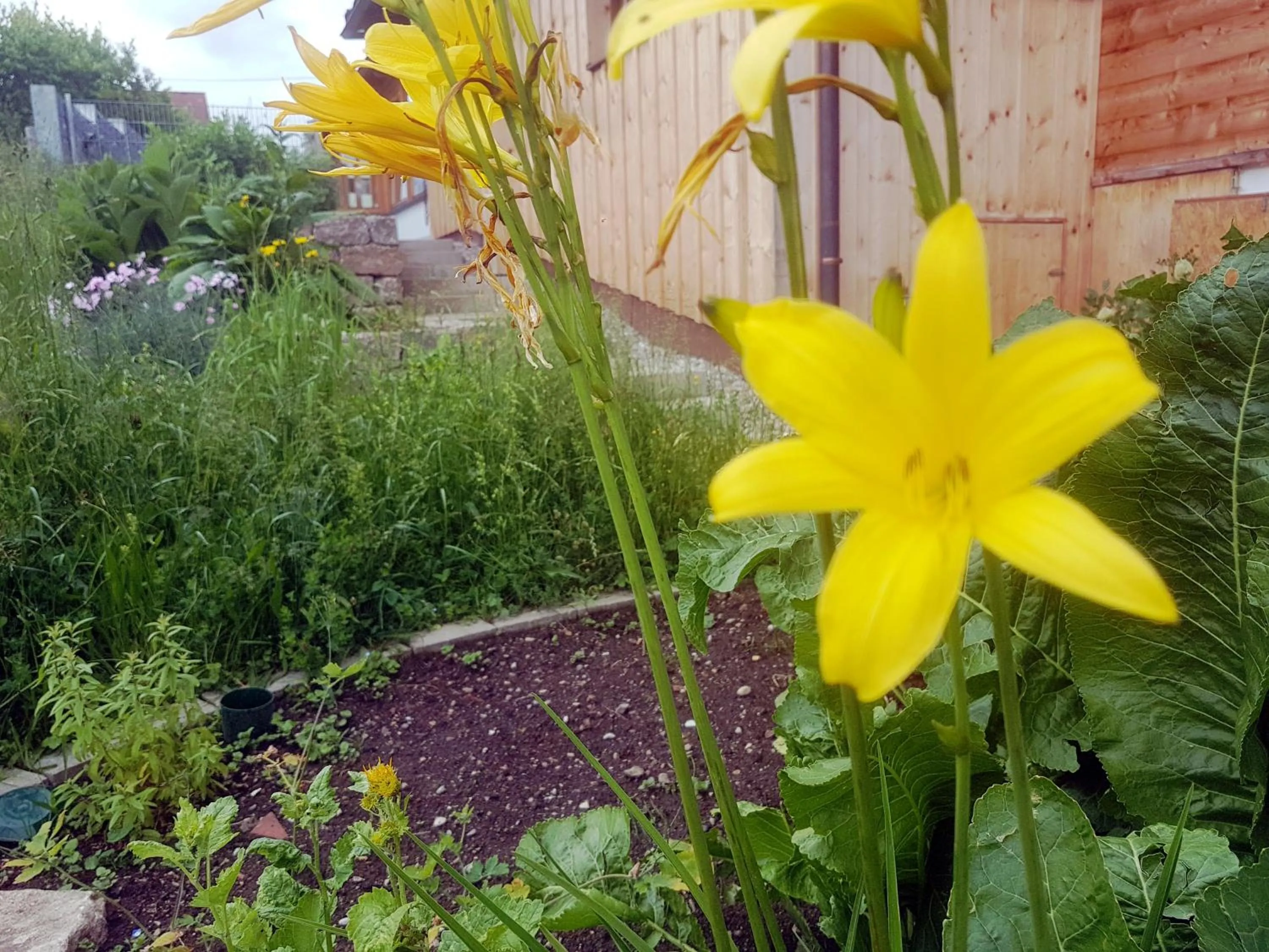 Area and facilities in Berggasthof Sonne Allgäu