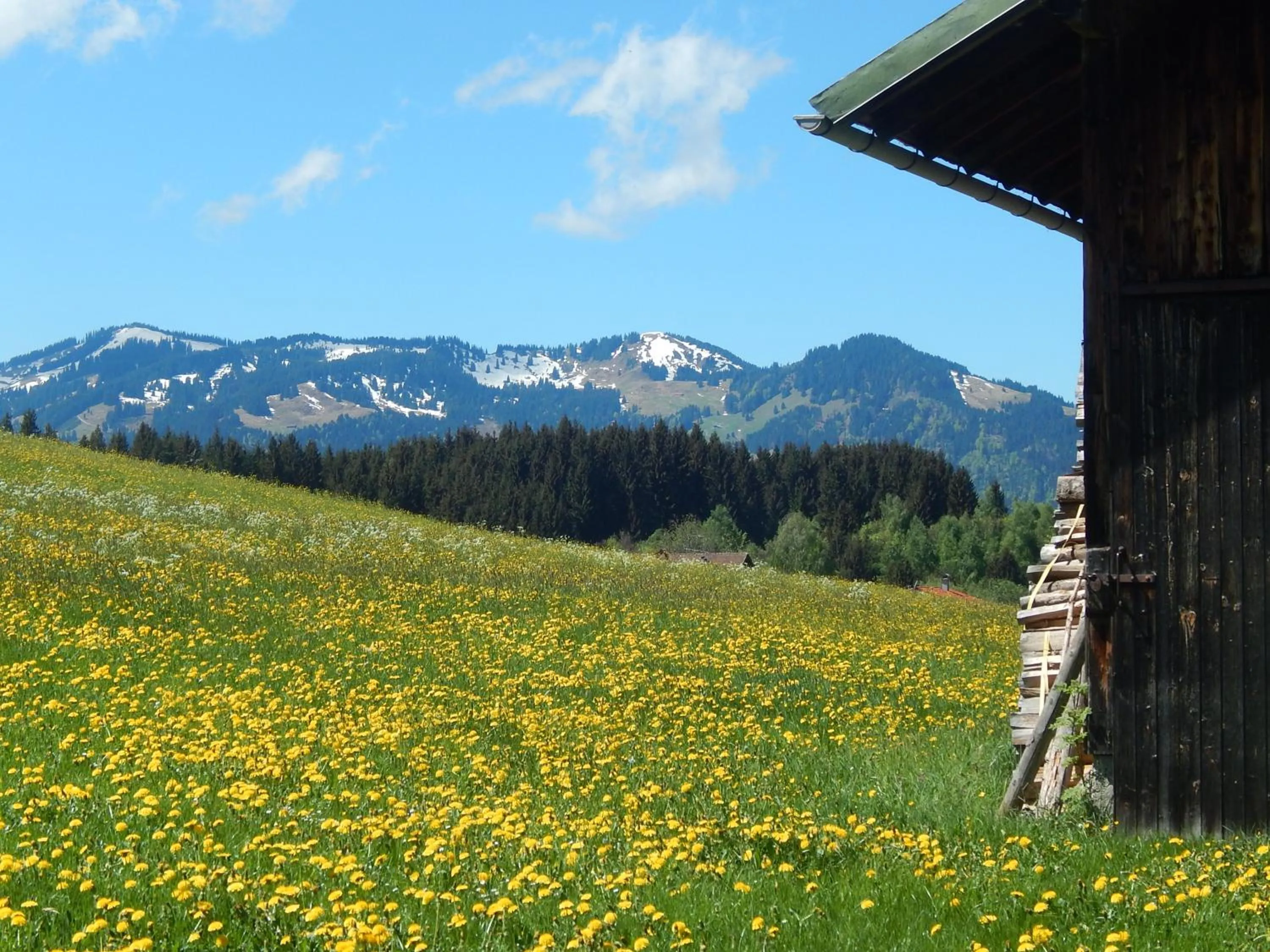 Natural landscape in Berggasthof Sonne Allgäu