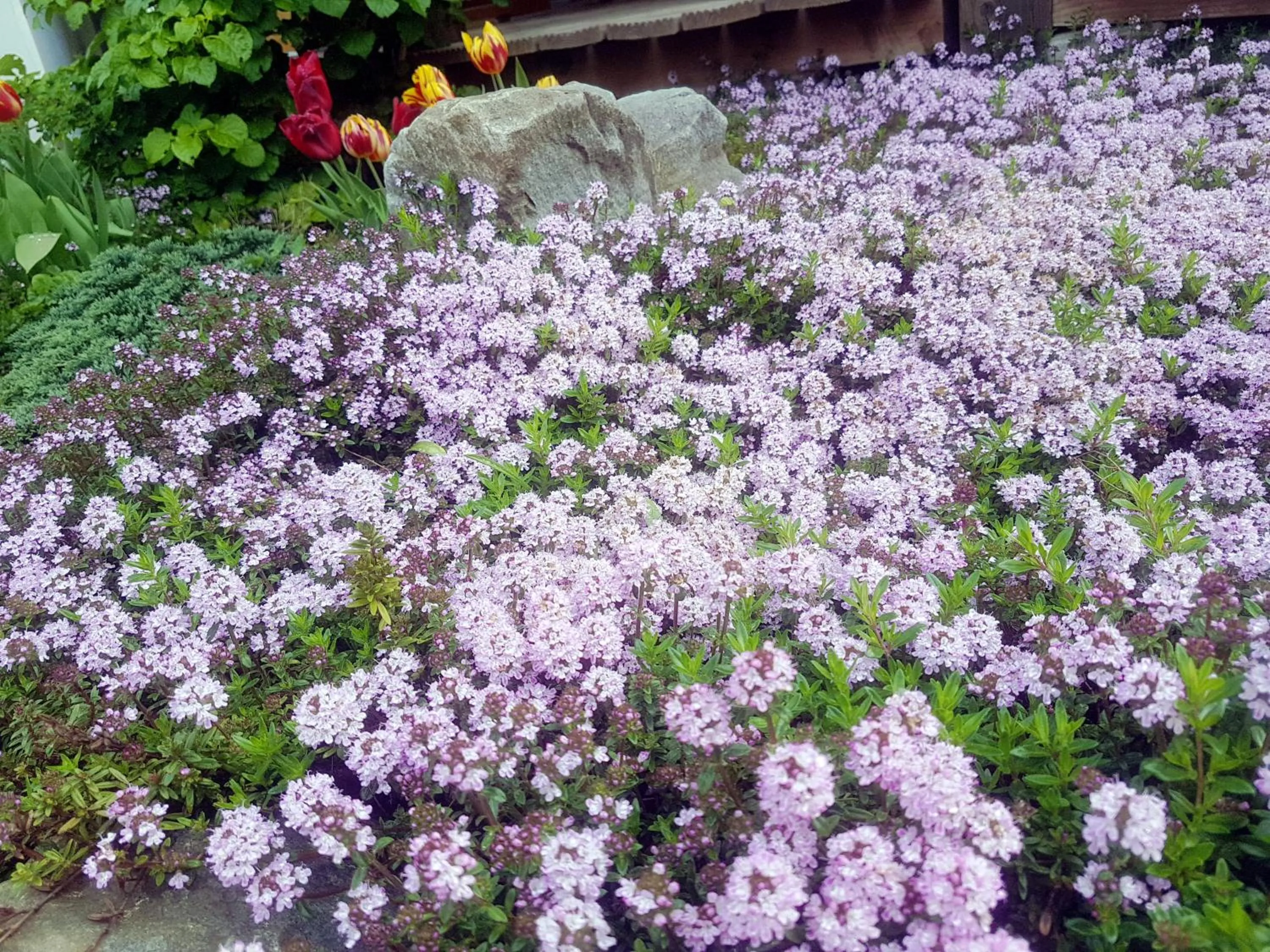 Area and facilities in Berggasthof Sonne Allgäu