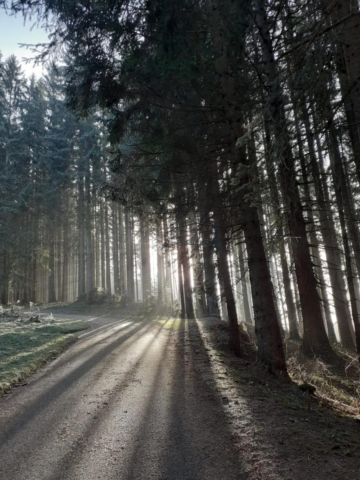 Area and facilities in Berggasthof Sonne Allgäu