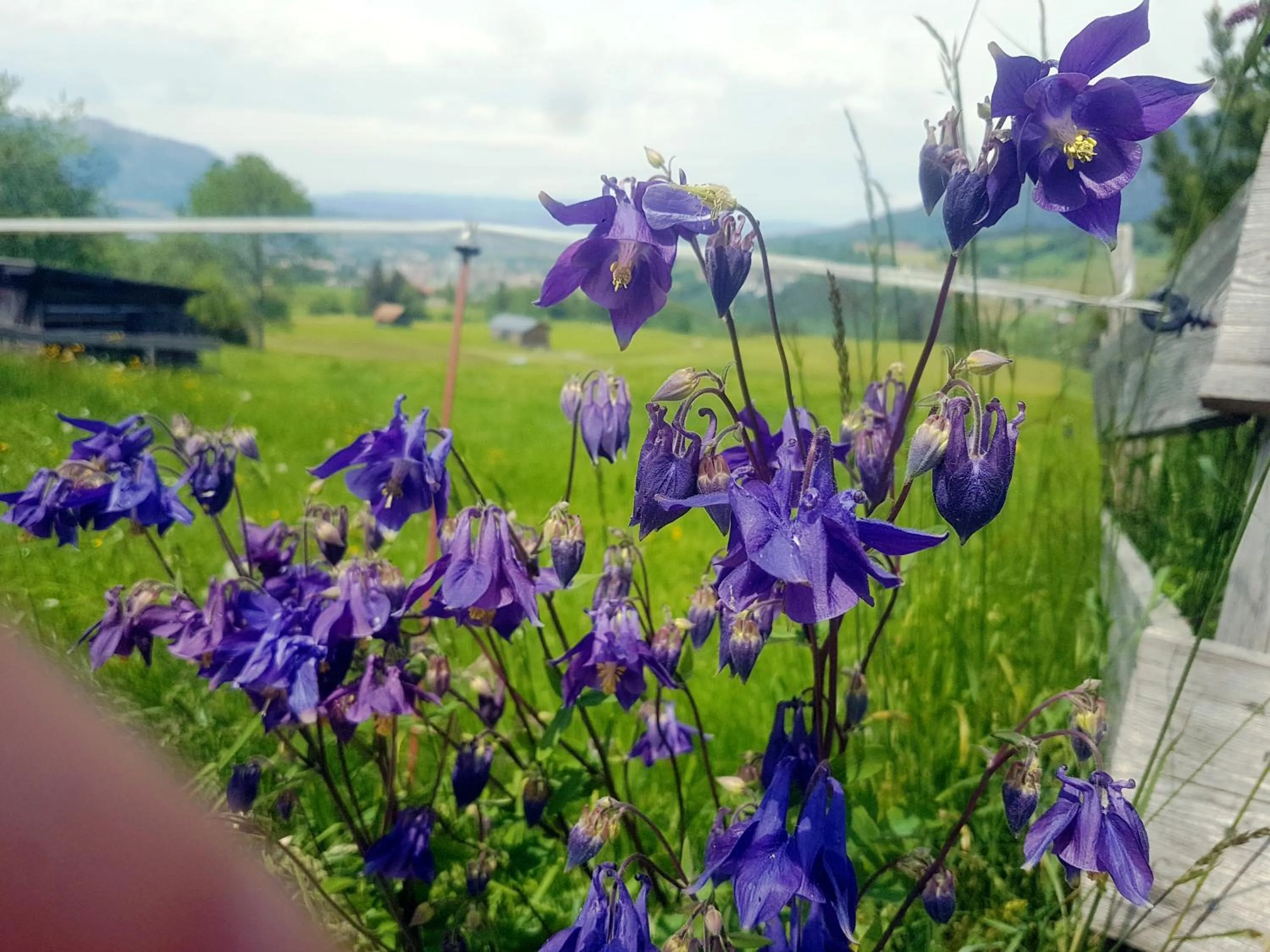 Area and facilities in Berggasthof Sonne Allgäu