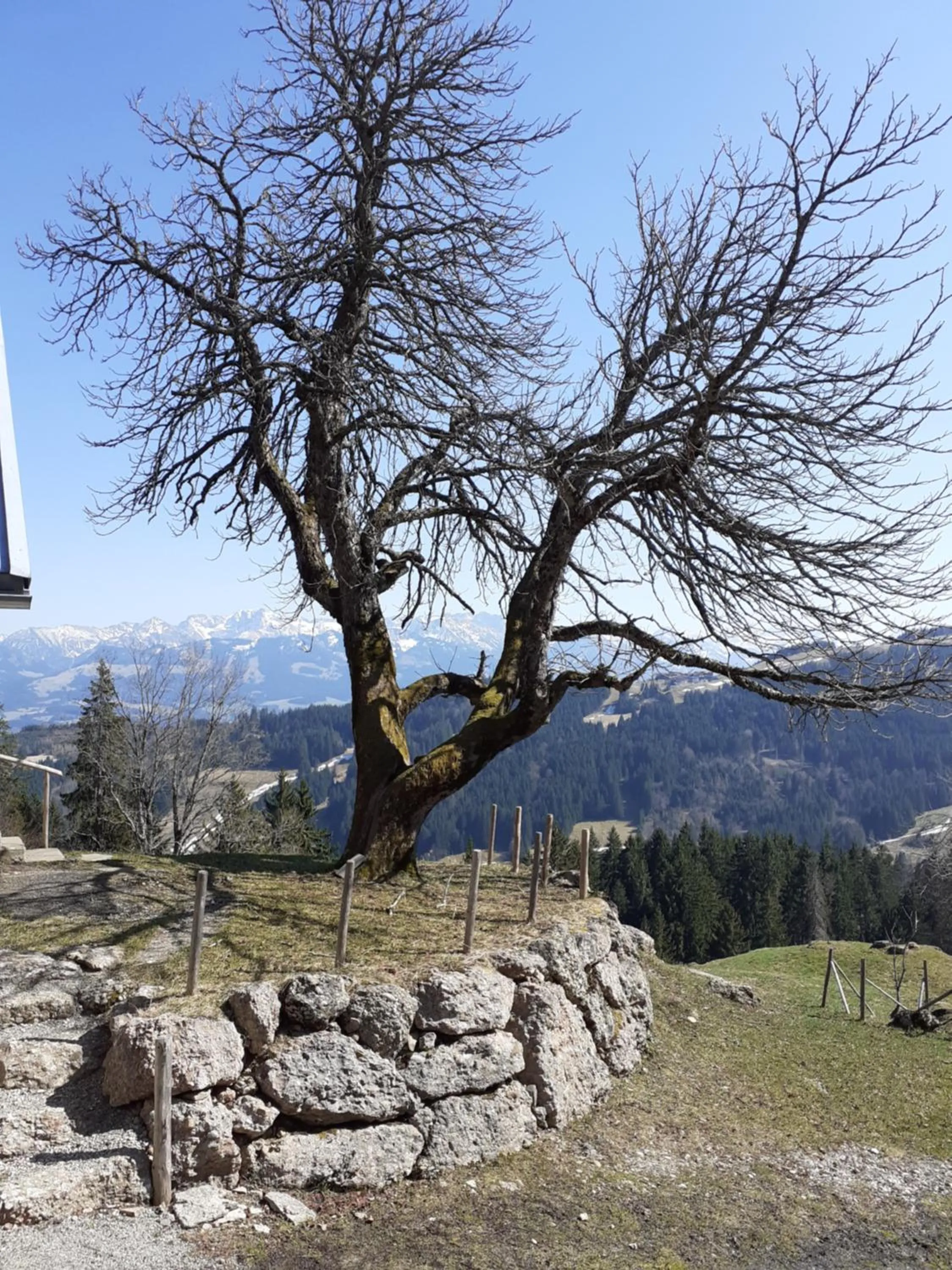 Off site in Berggasthof Sonne Allgäu