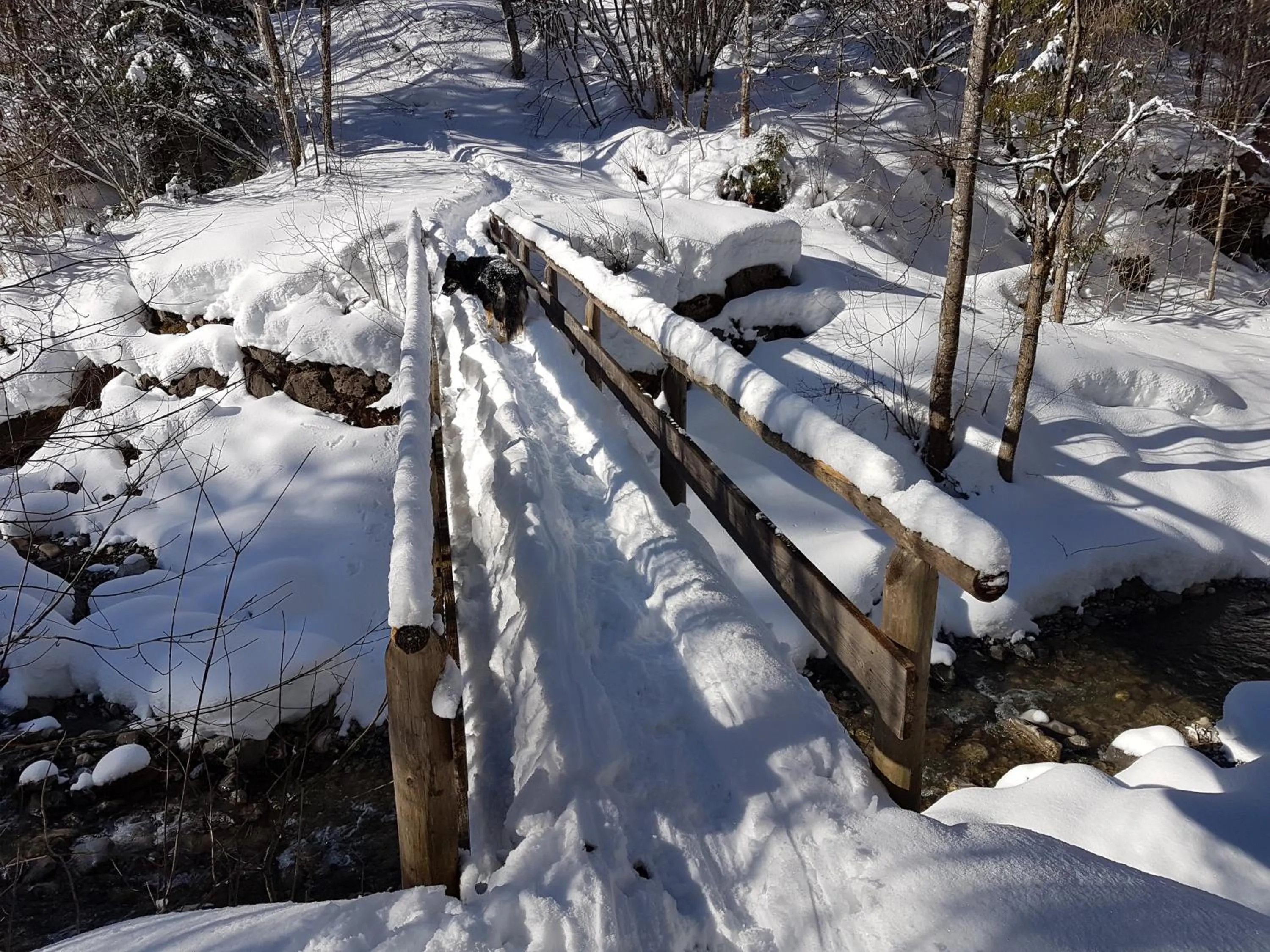 Natural landscape in Berggasthof Sonne Allgäu