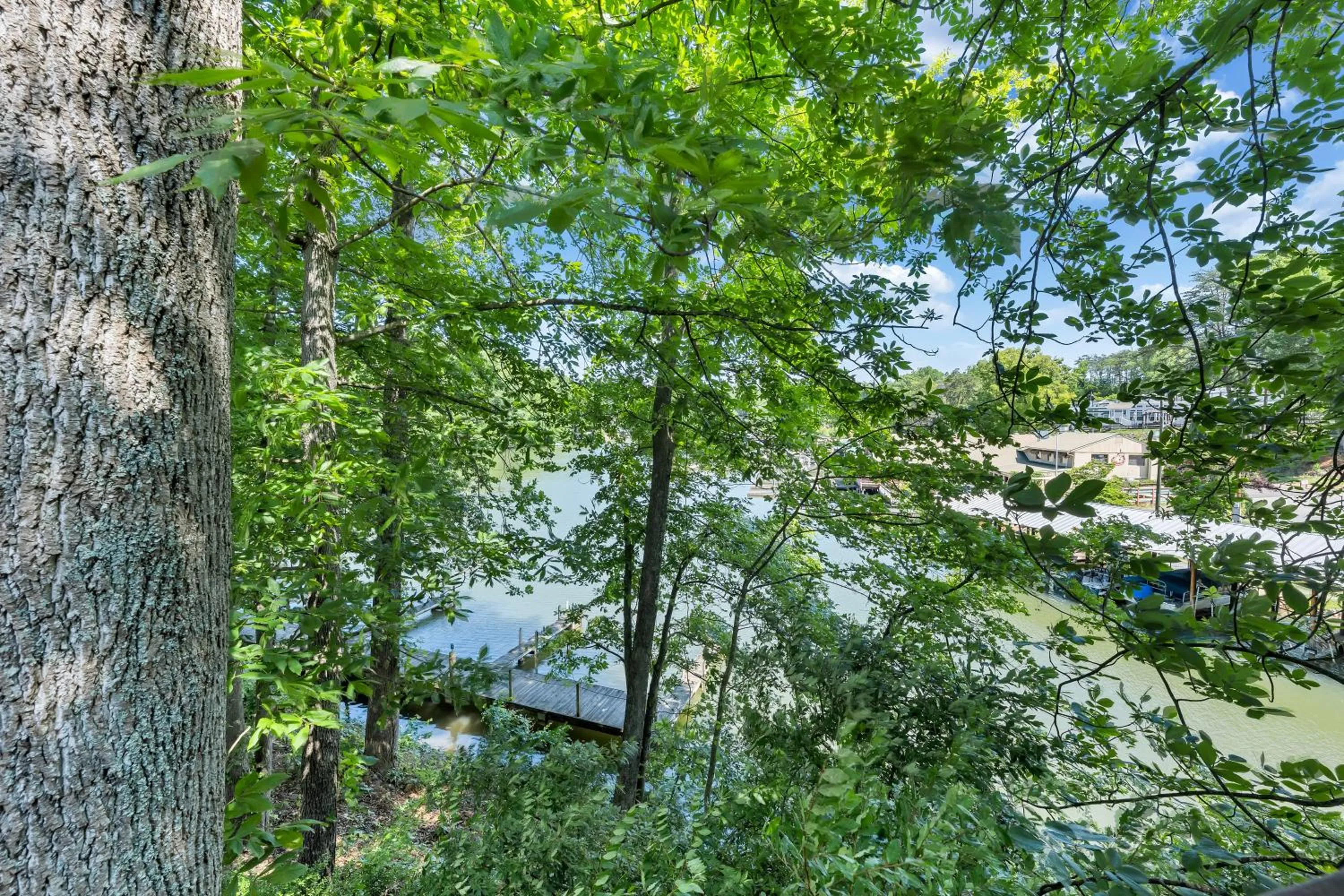 View (from property/room) in Halesford Harbour Resort - Smith Mountain Lake