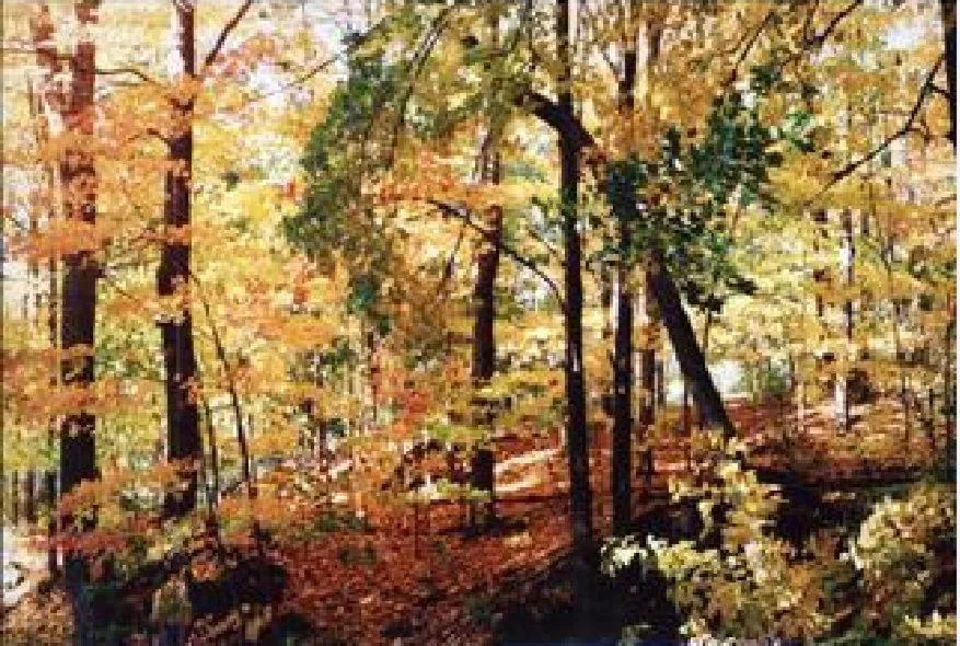 Facade/entrance in The Cottage